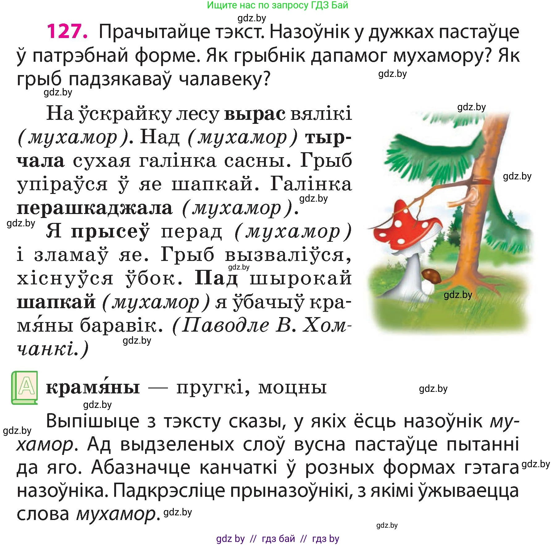 Белорусский язык (Беларуская мова), 3 класс Учебник, автор: Свірыдзенка Вольга Іванаўна, издательство Нацыянальны інстытут адукацыі, Минск, 2023, зелёного цвета, Частка 2, страница 75, номер 127, Условие