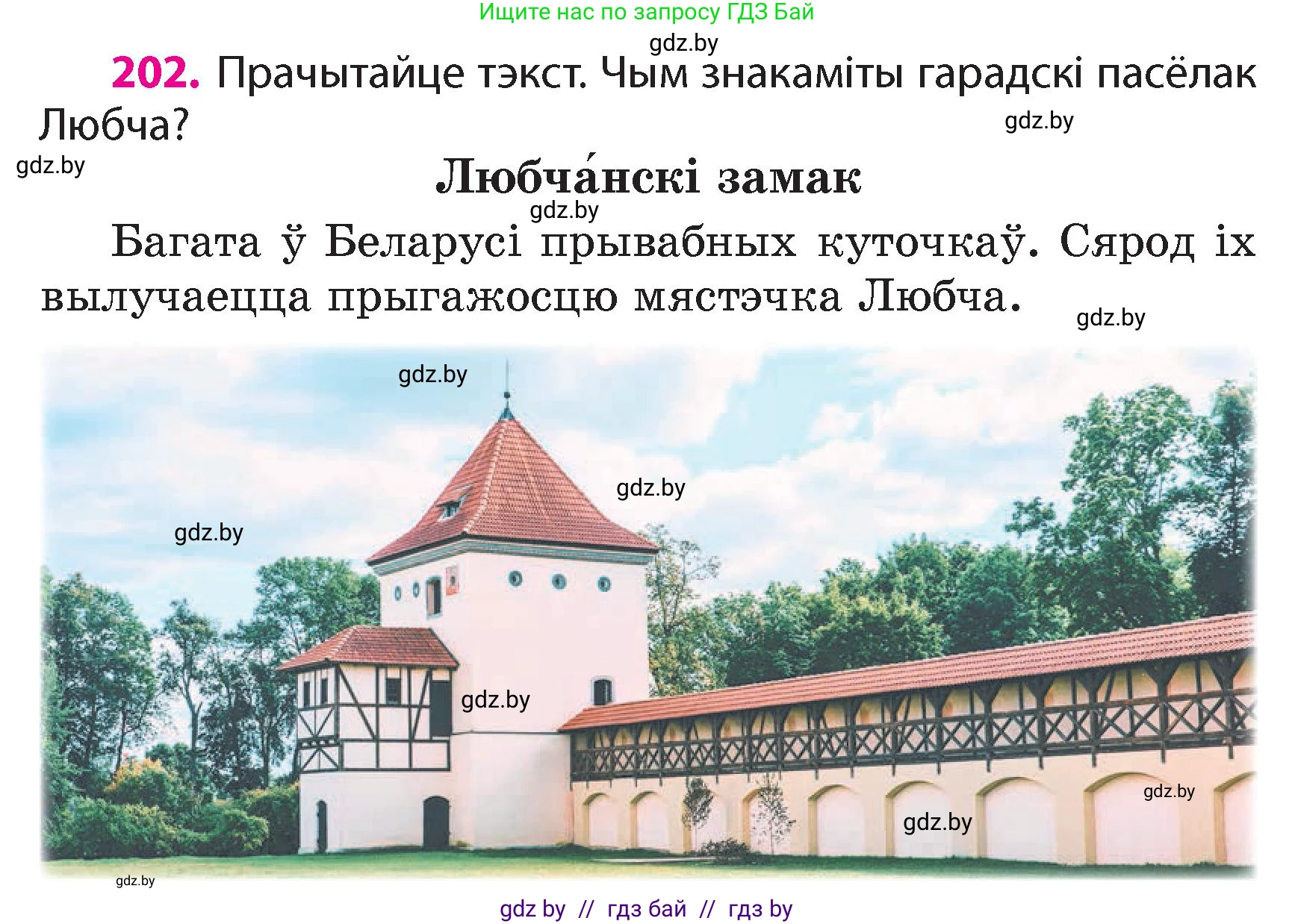 Белорусский язык (Беларуская мова), 4 класс Учебник, автор: Свірыдзенка Вольга Іванаўна, издательство Нацыянальны інстытут адукацыі, Минск, 2024, голубого цвета, Частка 1, страница 121, номер 202, Условие 2024