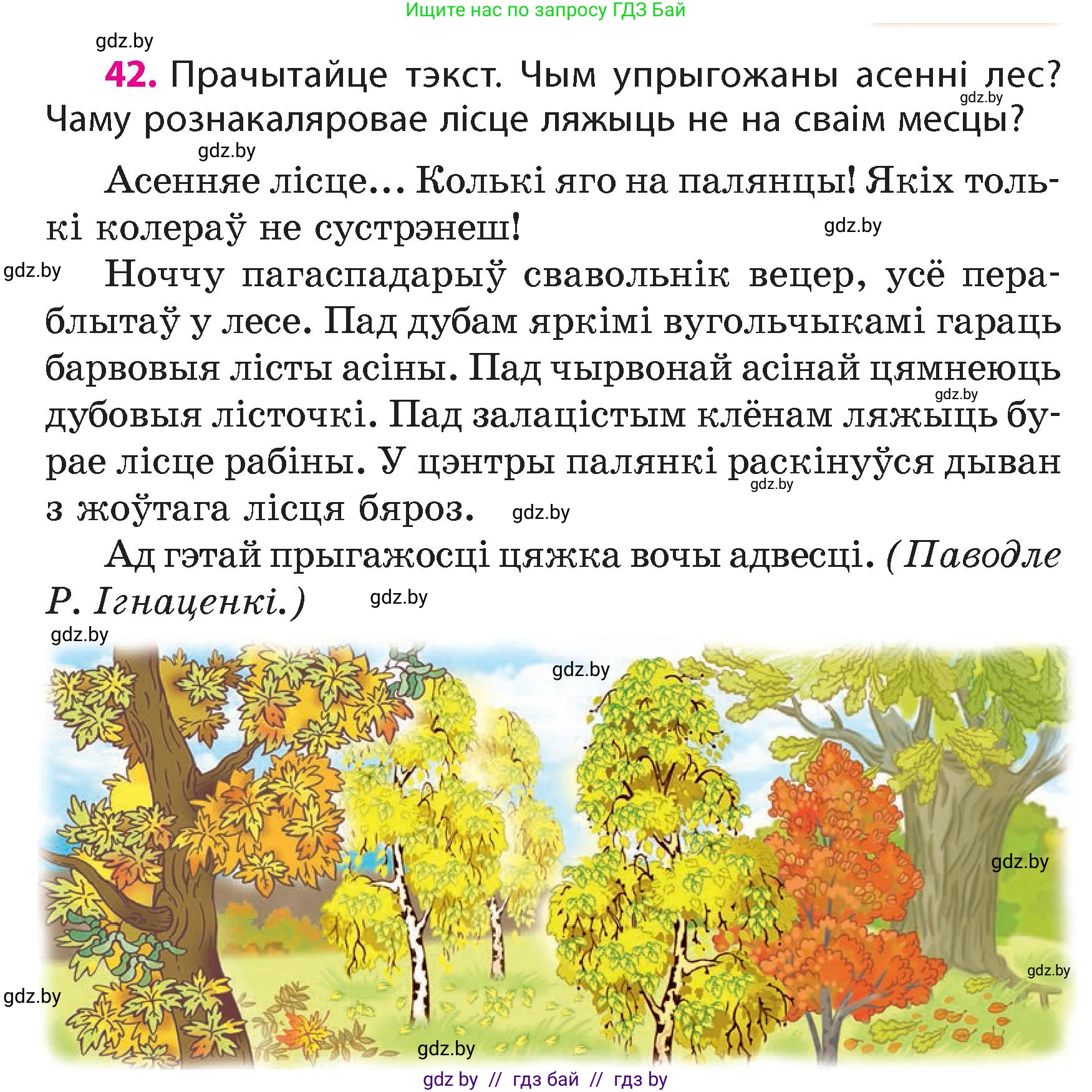 Белорусский язык (Беларуская мова), 4 класс Учебник, автор: Свірыдзенка Вольга Іванаўна, издательство Нацыянальны інстытут адукацыі, Минск, 2024, голубого цвета, Частка 1, страница 30, номер 42, Условие 2024