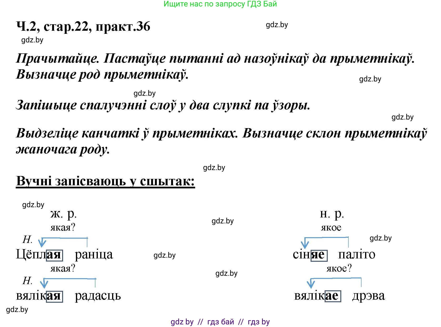Белорусский язык (Беларуская мова), 4 класс Учебник, автор: Свірыдзенка Вольга Іванаўна, издательство Нацыянальны інстытут адукацыі, Минск, 2024, голубого цвета, Частка 2, страница 22, номер 36, Решение 2024