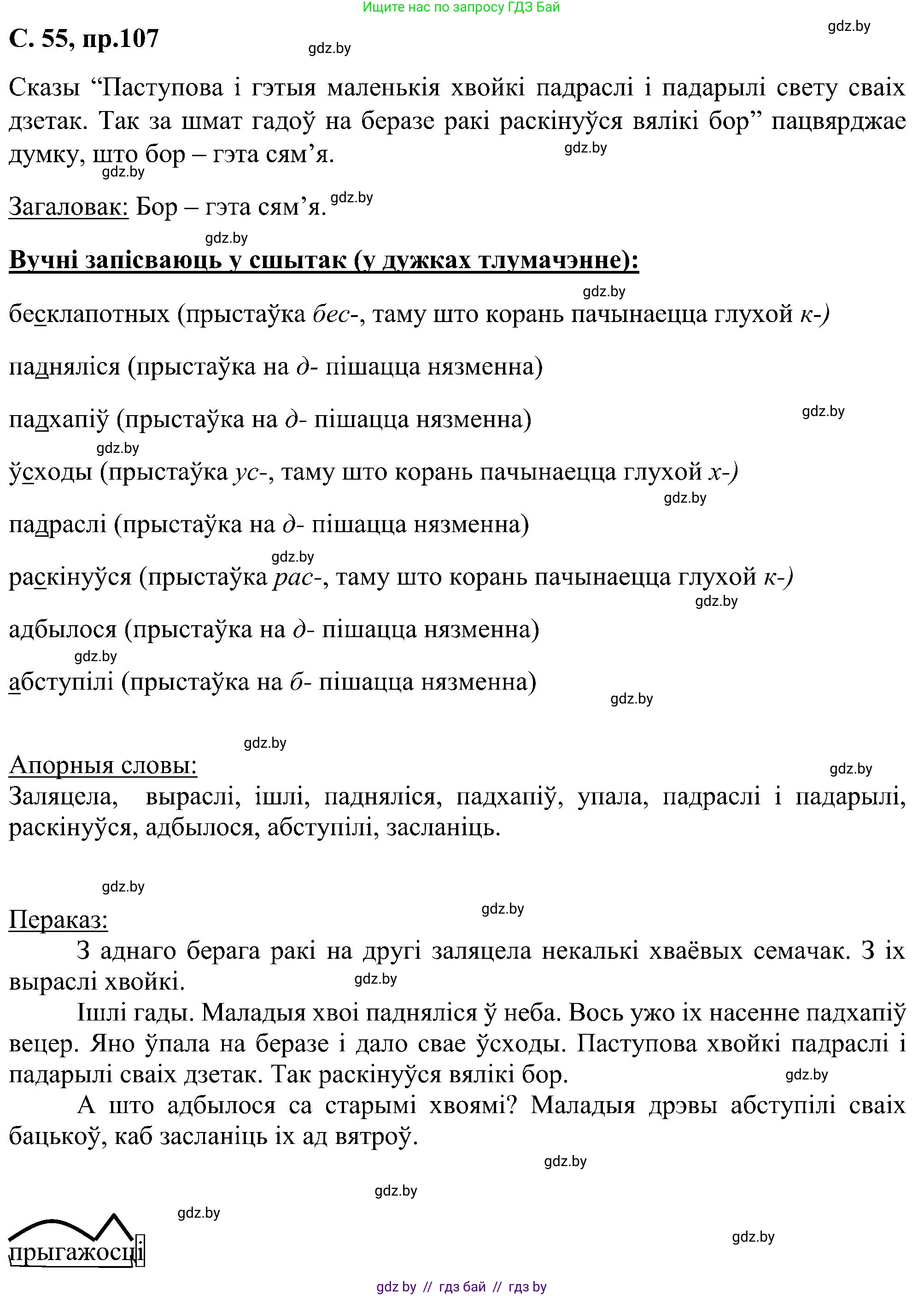 Белорусский язык (Беларуская мова), 6 класс Учебник, авторы: Валочка Ганна Міхайлаўна, Зелянко Вольга Уладзіміраўна, Мартынкевіч Святлана Васільеўна, Якуба Святлана Міхайлаўна, Бажкова Т І, издательство Акадэмія адукацыі, Минск, 2025, страница 55, номер 107, Решение