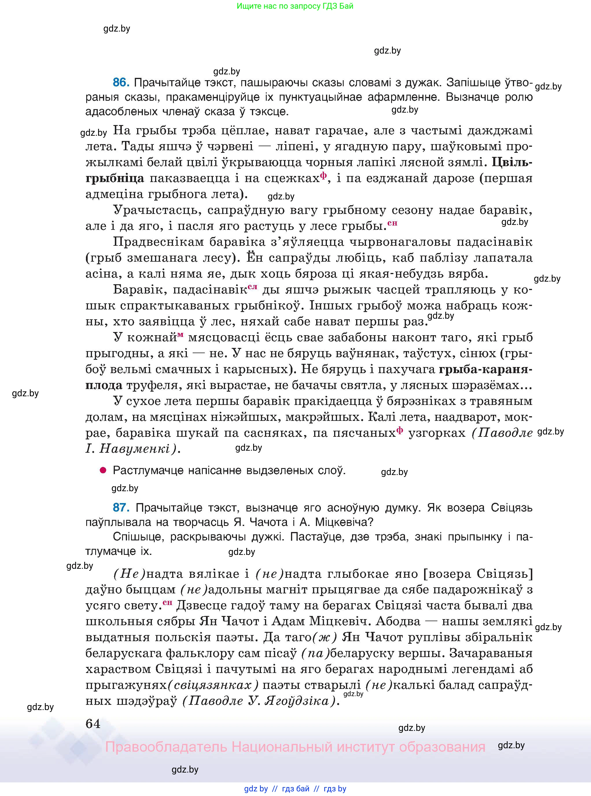 Белорусский язык (Беларуская мова), 11 класс Учебник, авторы: Валочка Ганна Міхайлаўна, Васюковіч Людміла Сяргееўна, Зелянко Вольга Уладзіміраўна, Міхнёнак С С, Якуба Святлана Міхайлаўна, издательство Нацыянальны інстытут адукацыі, Минск, 2021, страница 64
