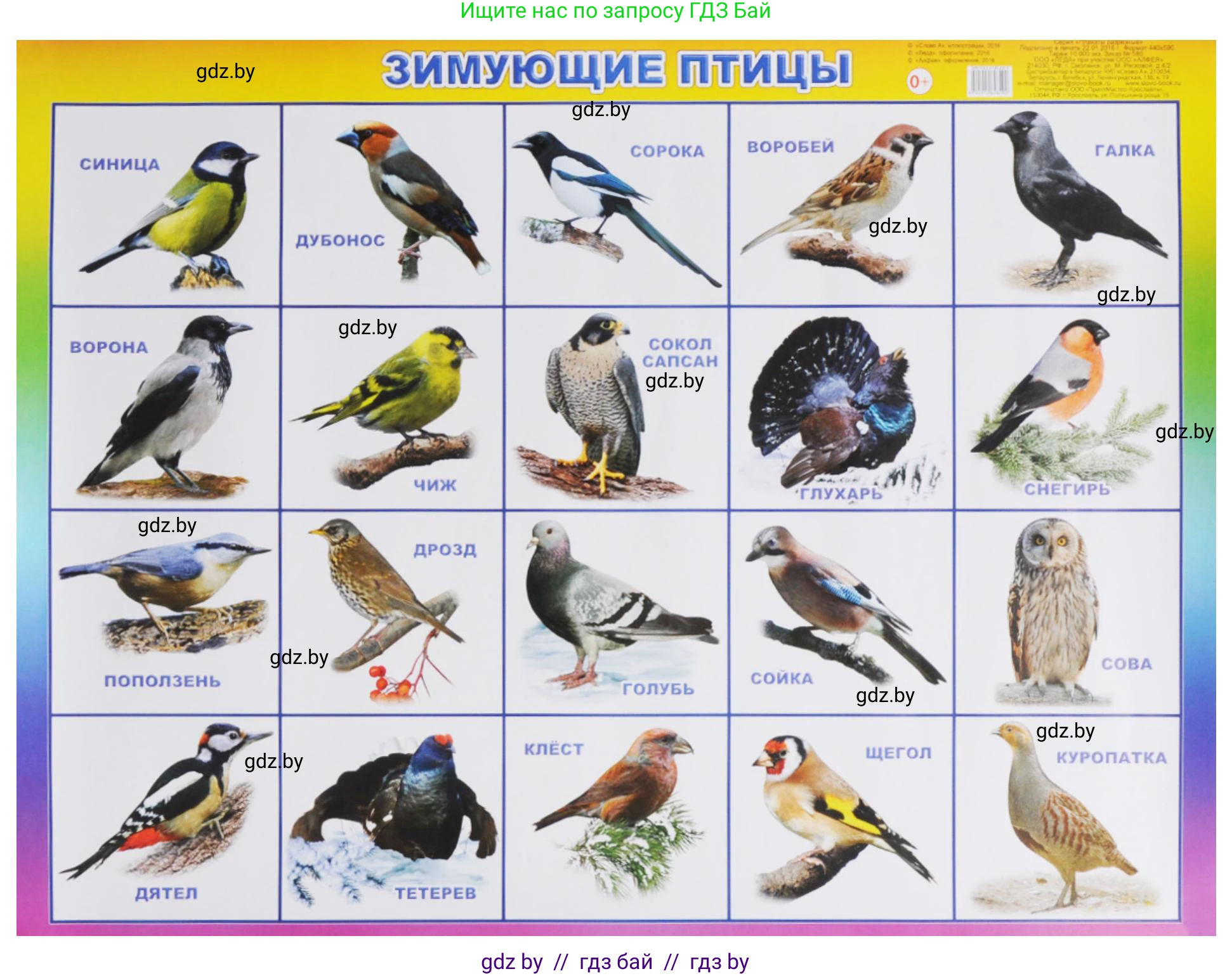 Биология, 6 класс рабочая тетрадь, авторы: Лисов Николай Дмитриевич, Борщевская Елена Валерьевна, издательство Аверсэв, Минск, 2021, жёлтого цвета, страница 69, номер 5, Решение (продолжение 2)