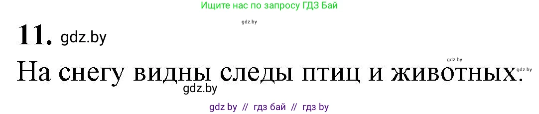 Биология, 6 класс Тетрадь для лабораторных и практических работ, авторы: Лисов Николай Дмитриевич, Борщевская Елена Валерьевна, издательство Аверсэв, Минск, 2023, салатового цвета, страница 31, номер 11, Решение