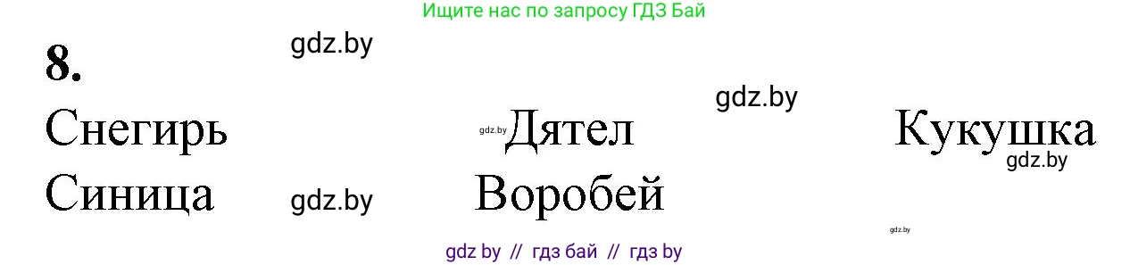 Биология, 6 класс Тетрадь для лабораторных и практических работ, авторы: Лисов Николай Дмитриевич, Борщевская Елена Валерьевна, издательство Аверсэв, Минск, 2023, салатового цвета, страница 29, номер 8, Решение