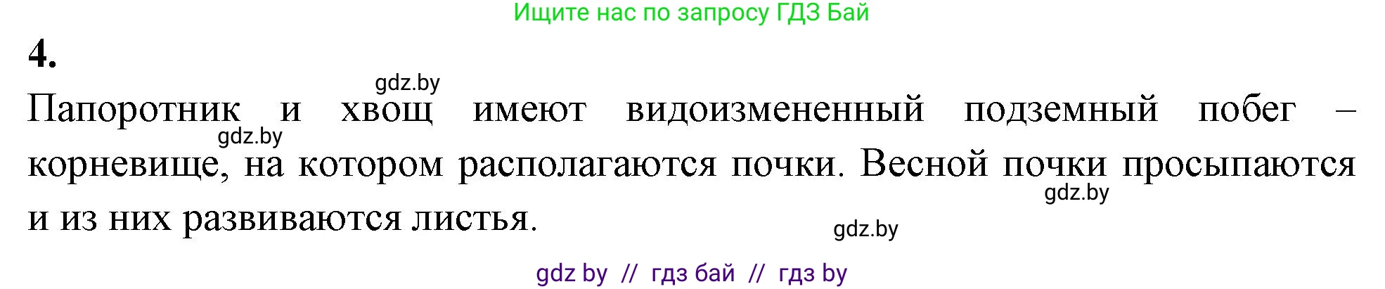 Биология, 7 класс рабочая тетрадь, автор: Лисов Николай Дмитриевич, издательство Аверсэв, Минск, 2022, коричневого цвета, страница 47, номер 4, Решение