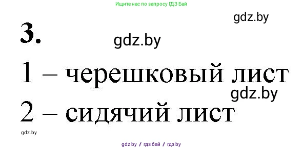 Биология, 7 класс рабочая тетрадь, автор: Лисов Николай Дмитриевич, издательство Аверсэв, Минск, 2022, коричневого цвета, страница 64, номер 3, Решение