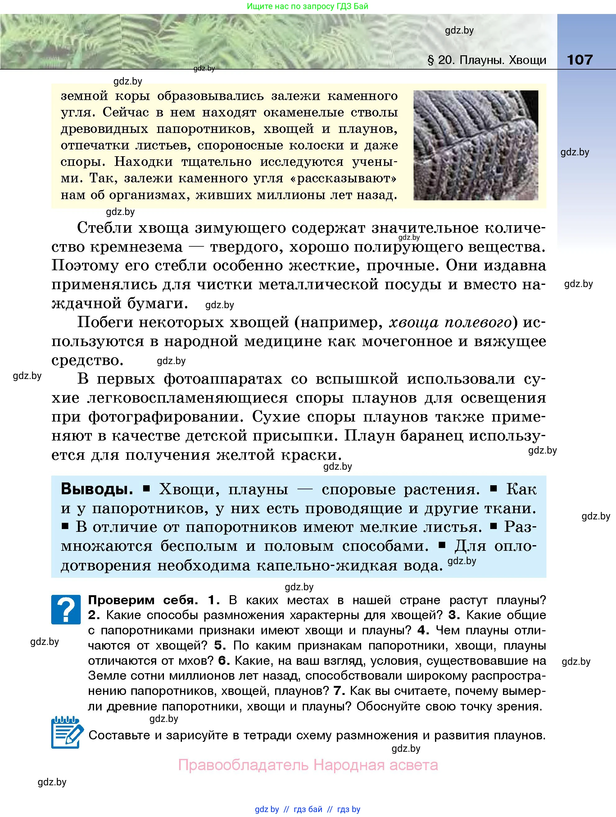 Биология, 7 класс Учебник, автор: Лисов Николай Дмитриевич, издательство Народная асвета, Минск, 2022, зелёного цвета, страница 107