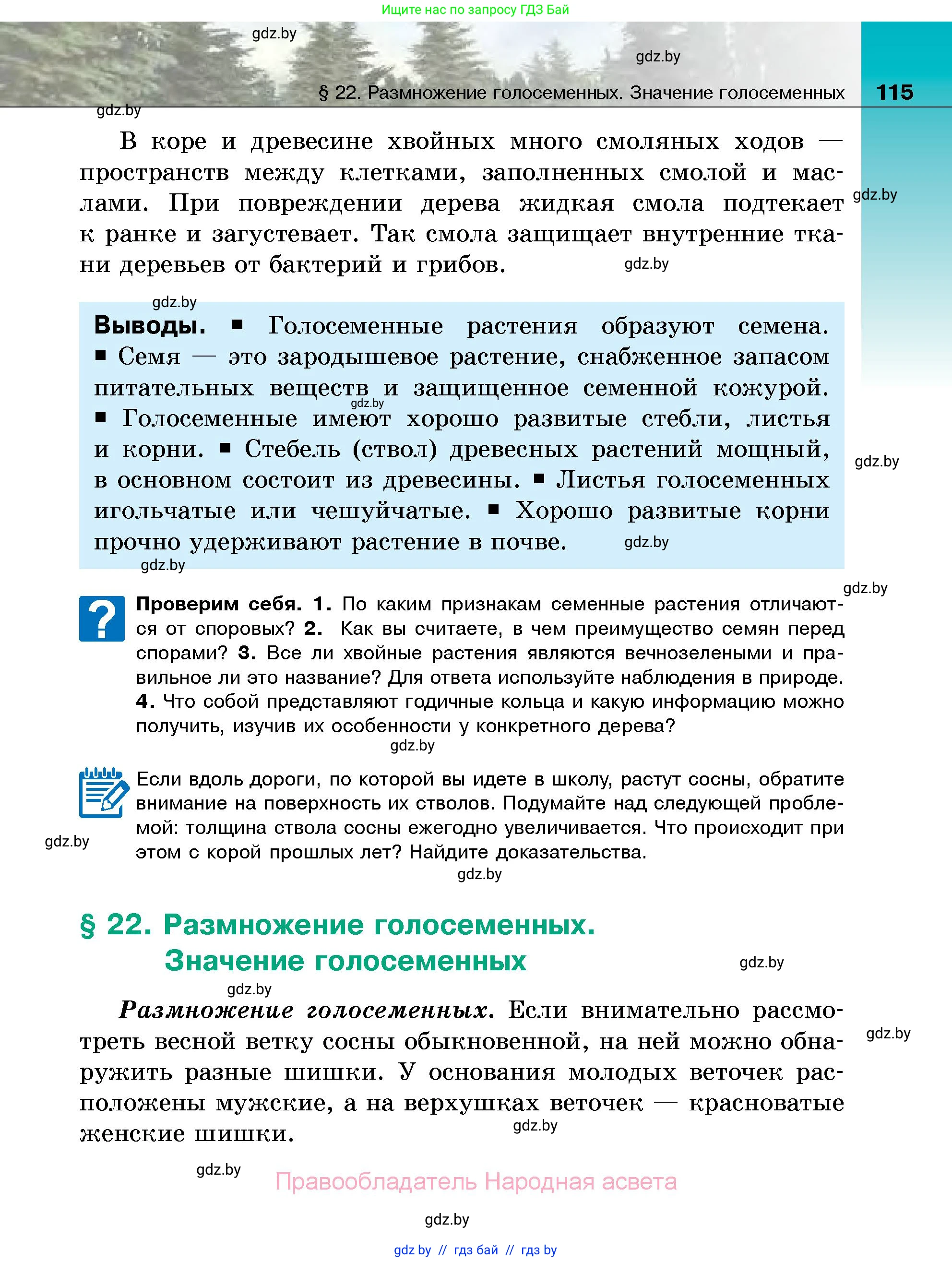 Биология, 7 класс Учебник, автор: Лисов Николай Дмитриевич, издательство Народная асвета, Минск, 2022, зелёного цвета, страница 115