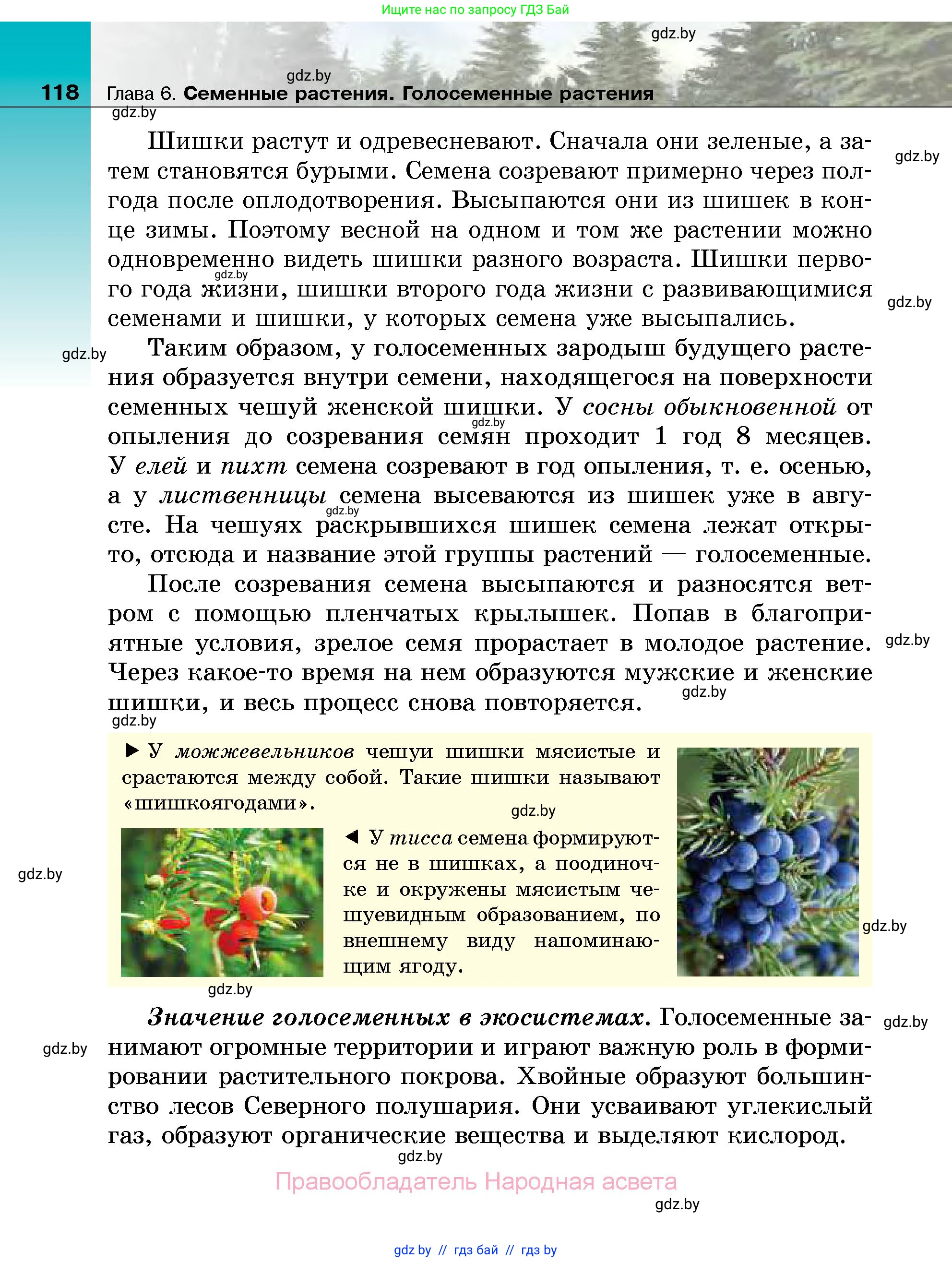Биология, 7 класс Учебник, автор: Лисов Николай Дмитриевич, издательство Народная асвета, Минск, 2022, зелёного цвета, страница 118