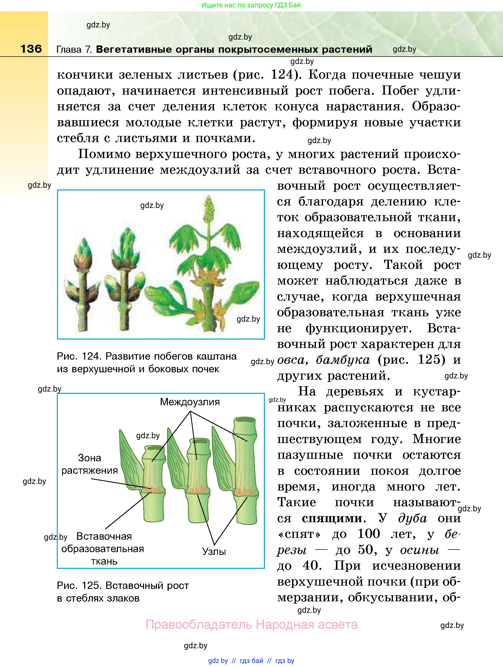 Биология, 7 класс Учебник, автор: Лисов Николай Дмитриевич, издательство Народная асвета, Минск, 2022, зелёного цвета, страница 136