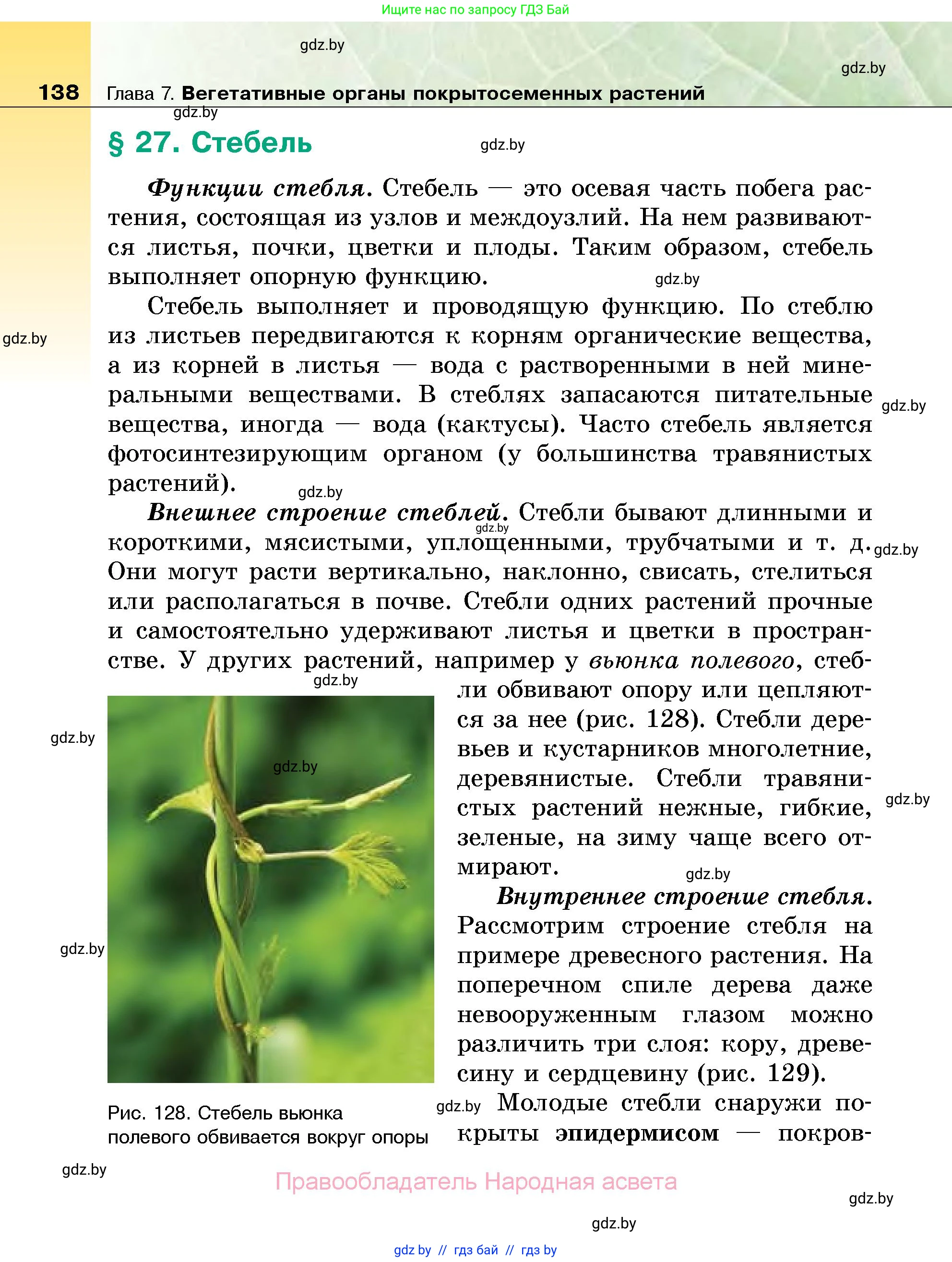Биология, 7 класс Учебник, автор: Лисов Николай Дмитриевич, издательство Народная асвета, Минск, 2022, зелёного цвета, страница 138