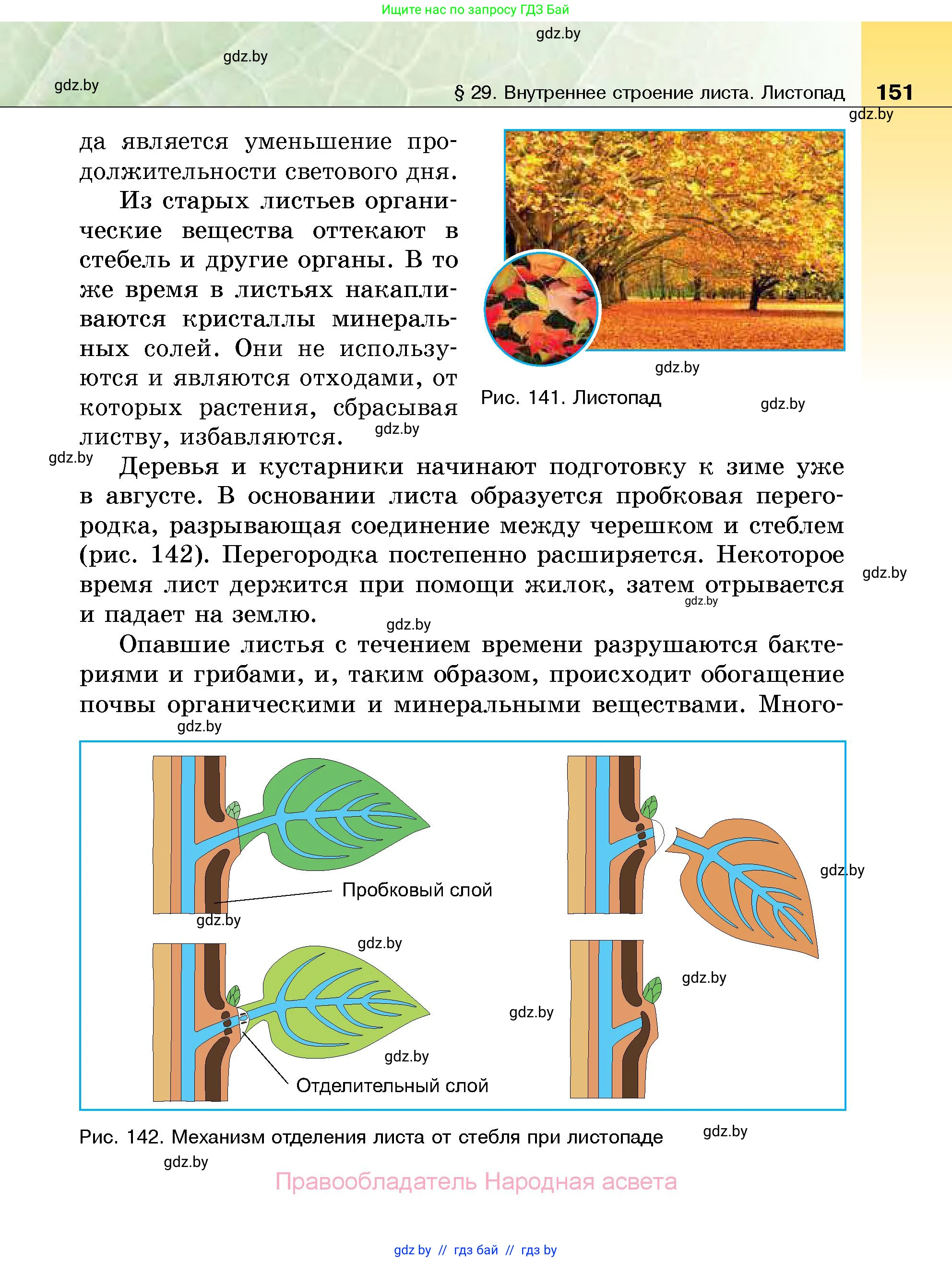 Биология, 7 класс Учебник, автор: Лисов Николай Дмитриевич, издательство Народная асвета, Минск, 2022, зелёного цвета, страница 151