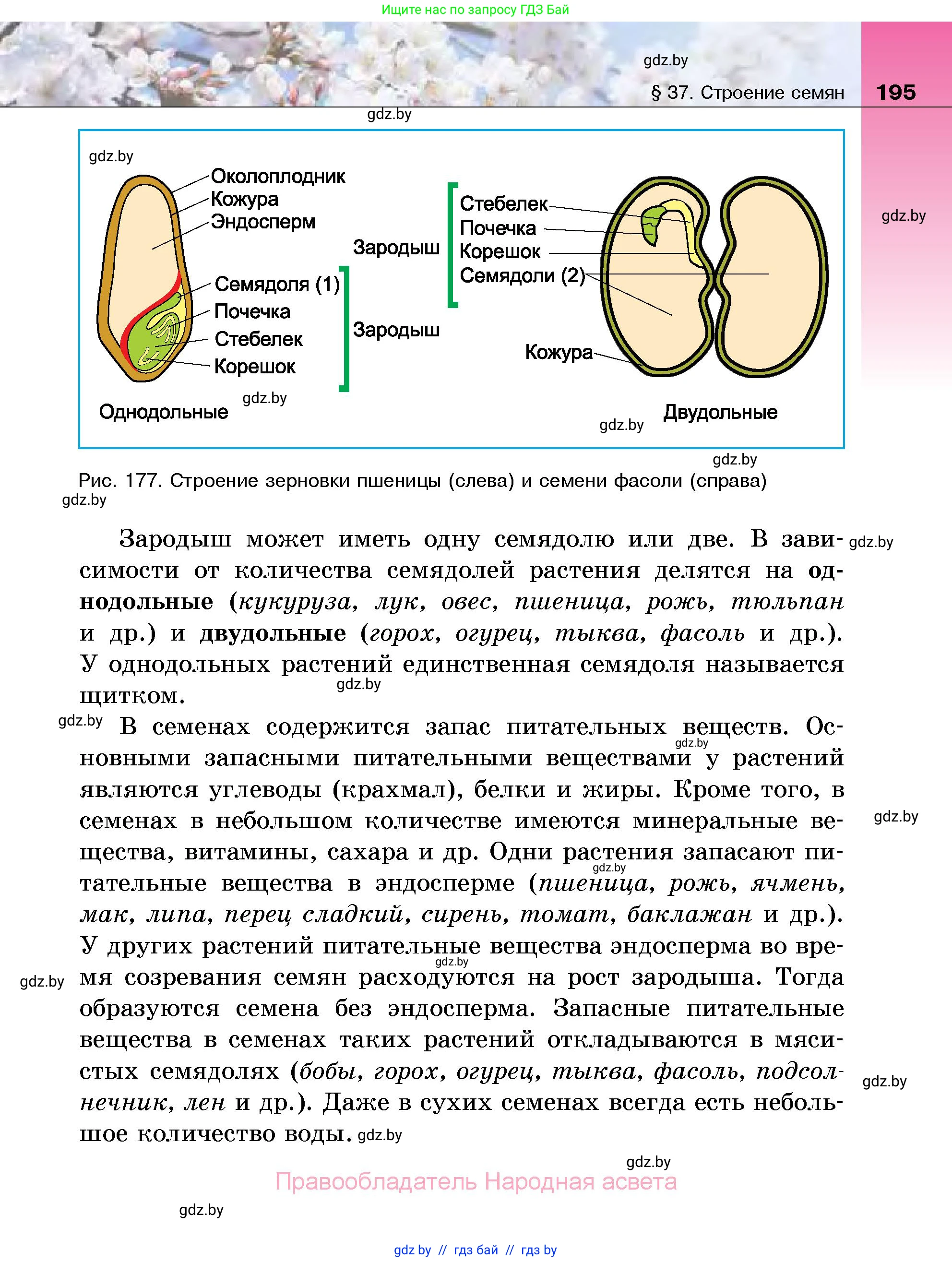 Биология, 7 класс Учебник, автор: Лисов Николай Дмитриевич, издательство Народная асвета, Минск, 2022, зелёного цвета, страница 195