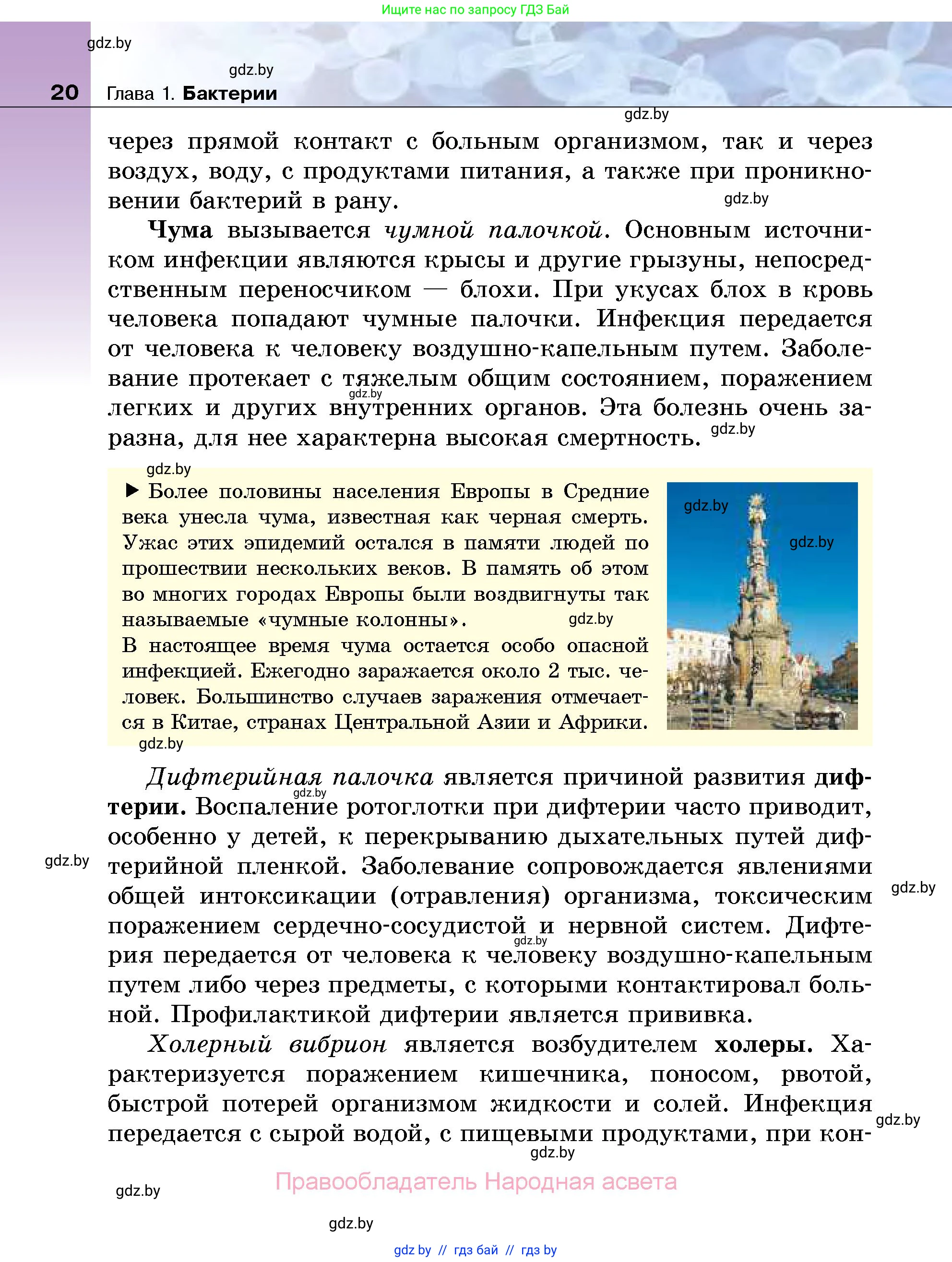 Биология, 7 класс Учебник, автор: Лисов Николай Дмитриевич, издательство Народная асвета, Минск, 2022, зелёного цвета, страница 20