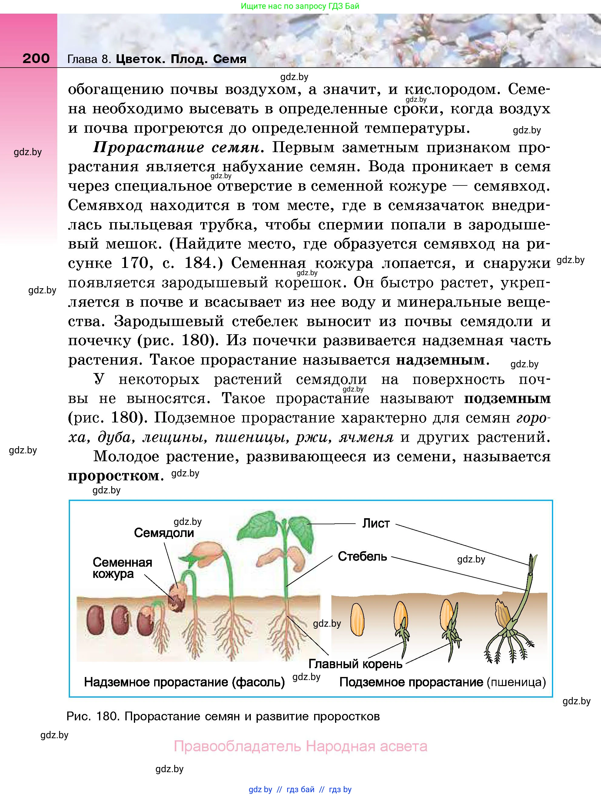 Биология, 7 класс Учебник, автор: Лисов Николай Дмитриевич, издательство Народная асвета, Минск, 2022, зелёного цвета, страница 200