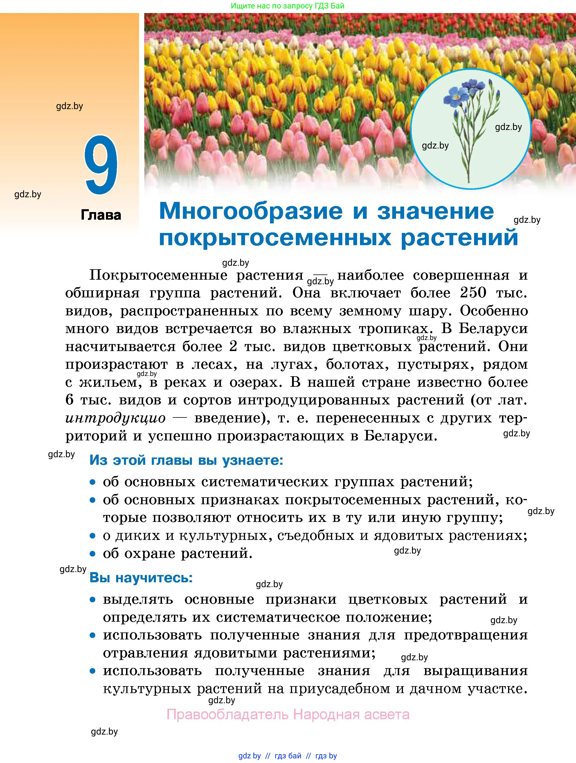 Биология, 7 класс Учебник, автор: Лисов Николай Дмитриевич, издательство Народная асвета, Минск, 2022, зелёного цвета, страница 204