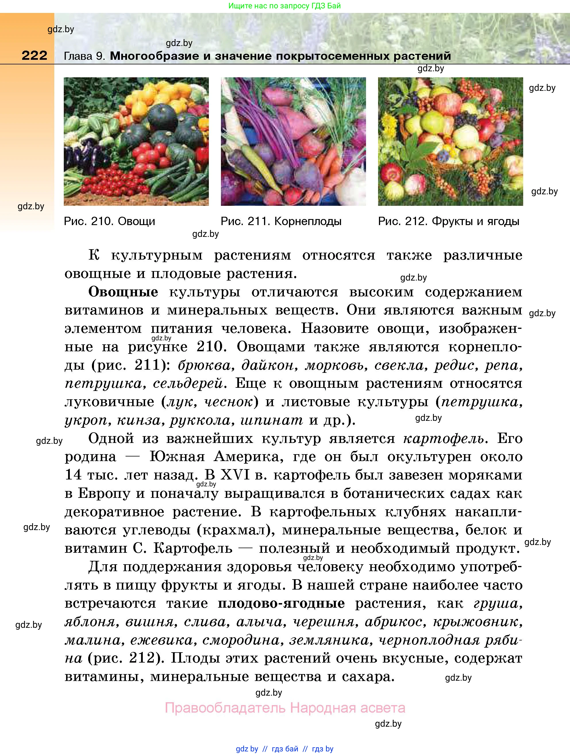 Биология, 7 класс Учебник, автор: Лисов Николай Дмитриевич, издательство Народная асвета, Минск, 2022, зелёного цвета, страница 222