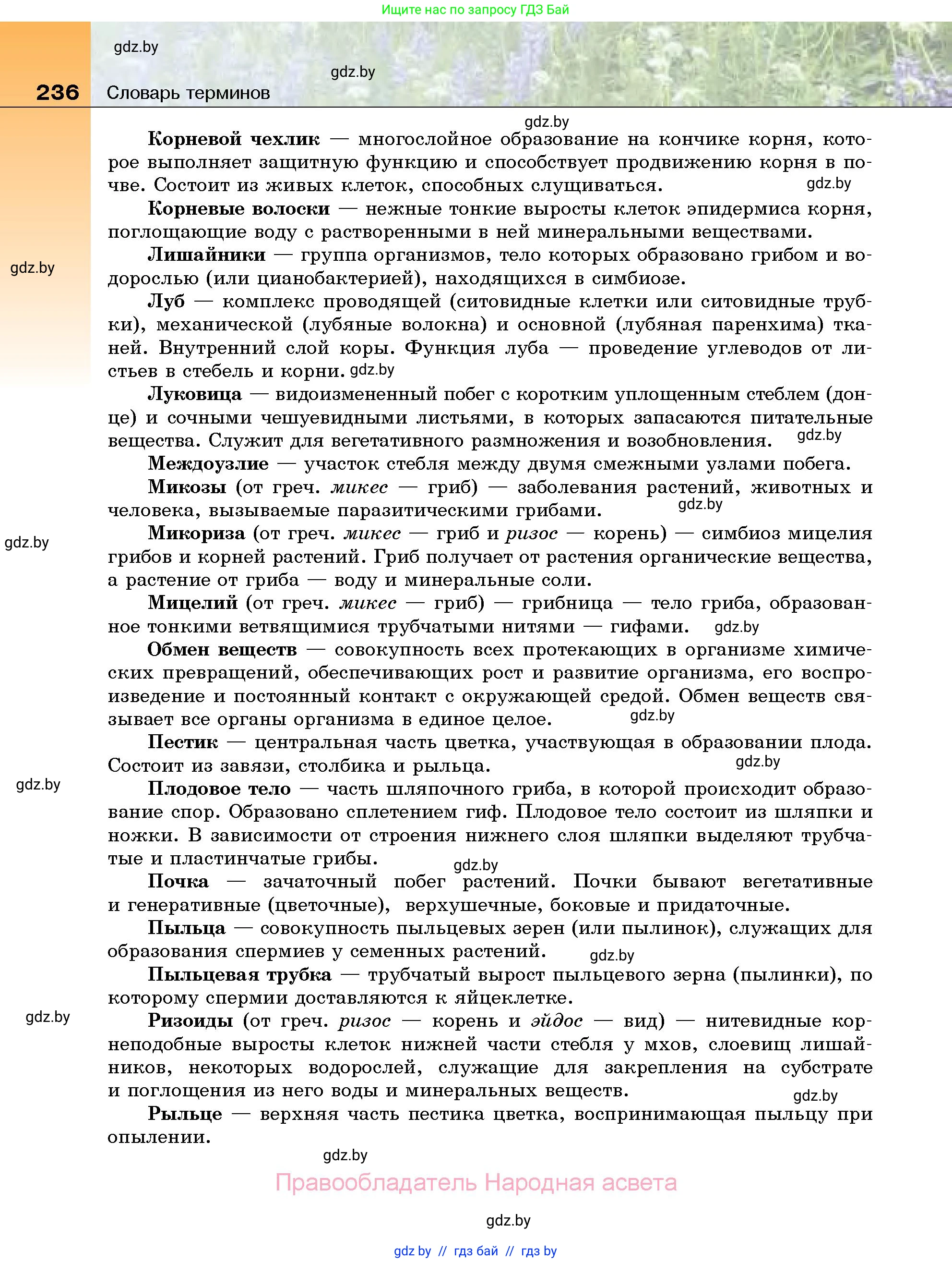Биология, 7 класс Учебник, автор: Лисов Николай Дмитриевич, издательство Народная асвета, Минск, 2022, зелёного цвета, страница 236