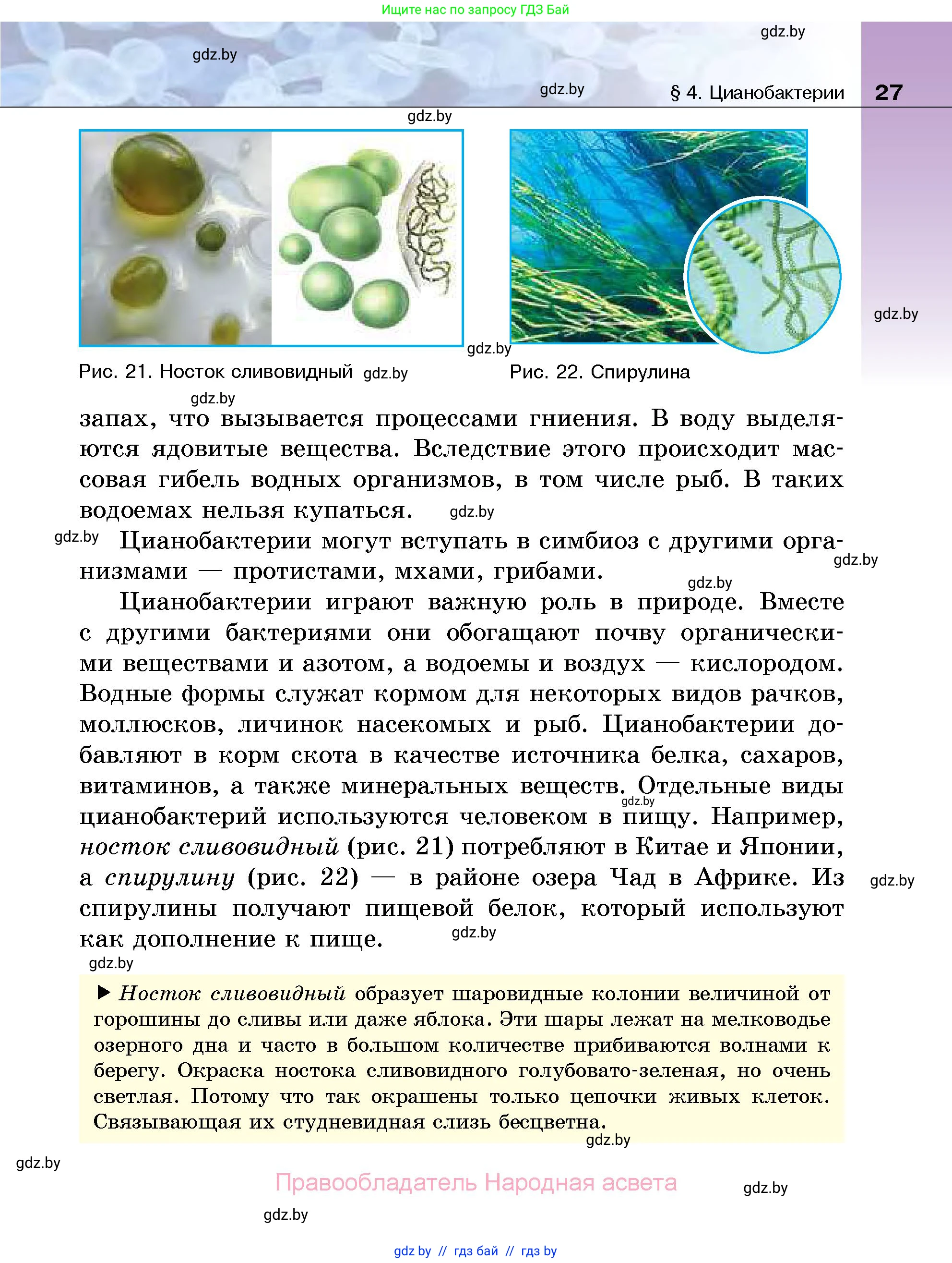 Биология, 7 класс Учебник, автор: Лисов Николай Дмитриевич, издательство Народная асвета, Минск, 2022, зелёного цвета, страница 27