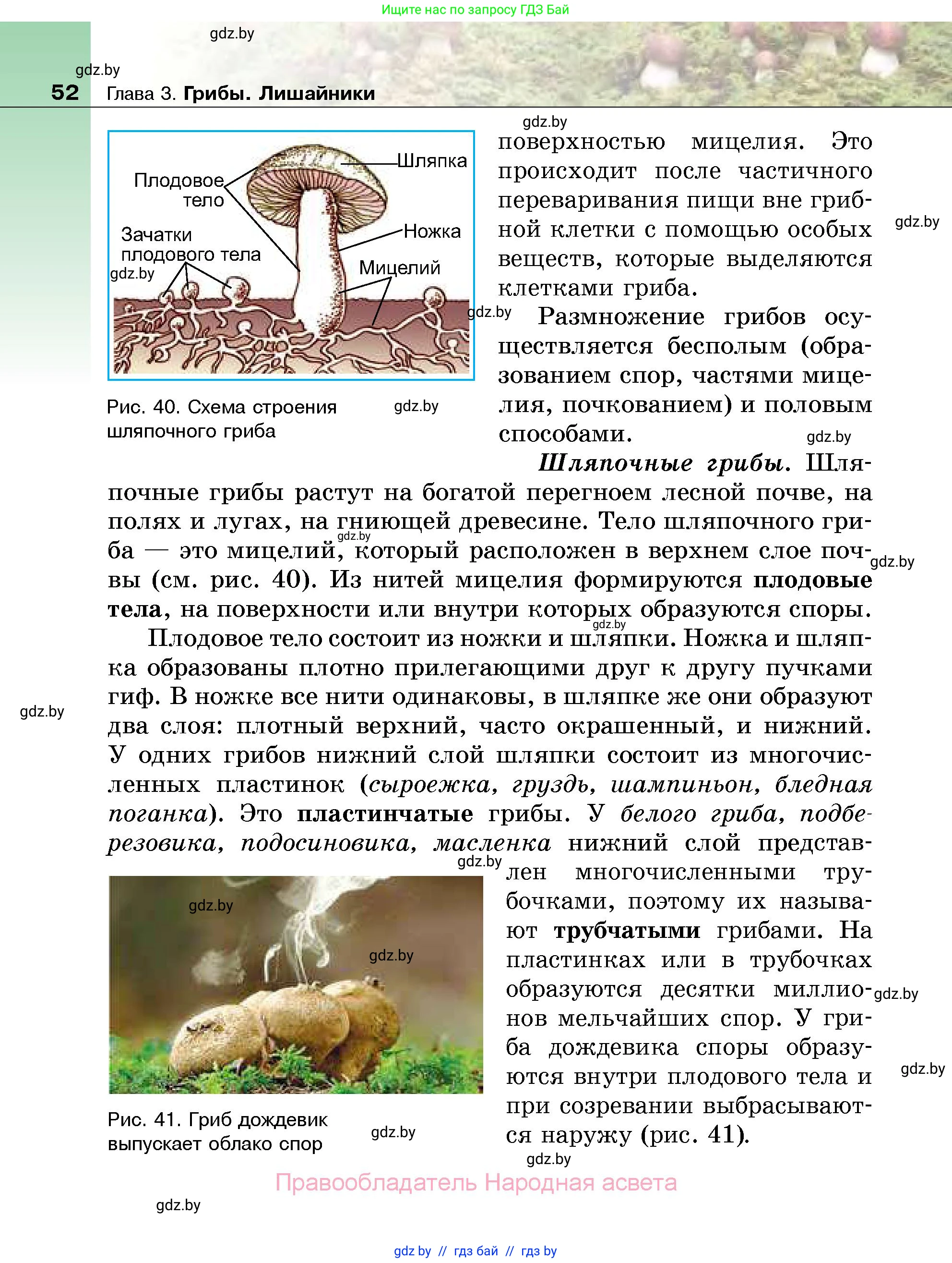 Биология, 7 класс Учебник, автор: Лисов Николай Дмитриевич, издательство Народная асвета, Минск, 2022, зелёного цвета, страница 52