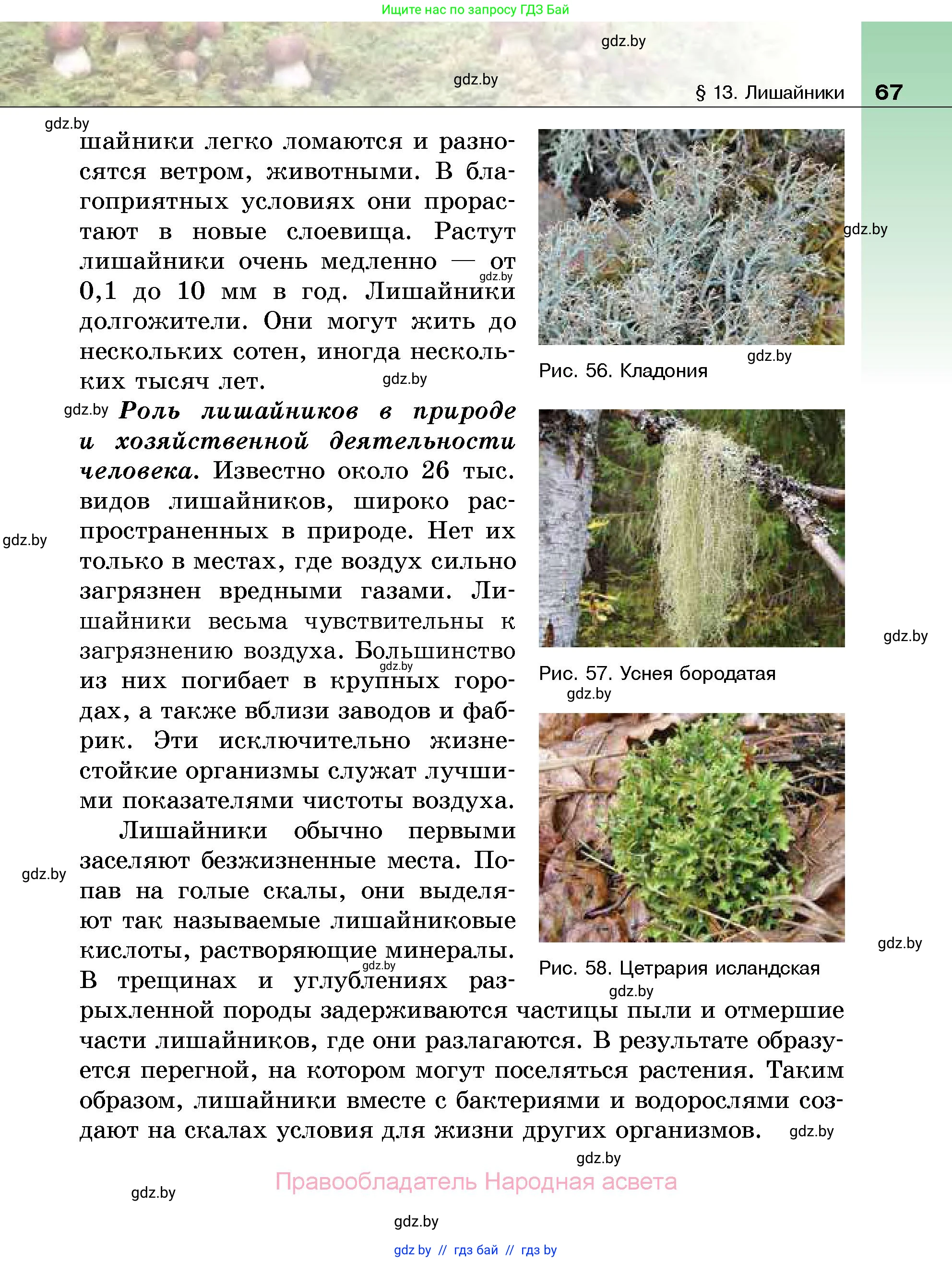 Биология, 7 класс Учебник, автор: Лисов Николай Дмитриевич, издательство Народная асвета, Минск, 2022, зелёного цвета, страница 67