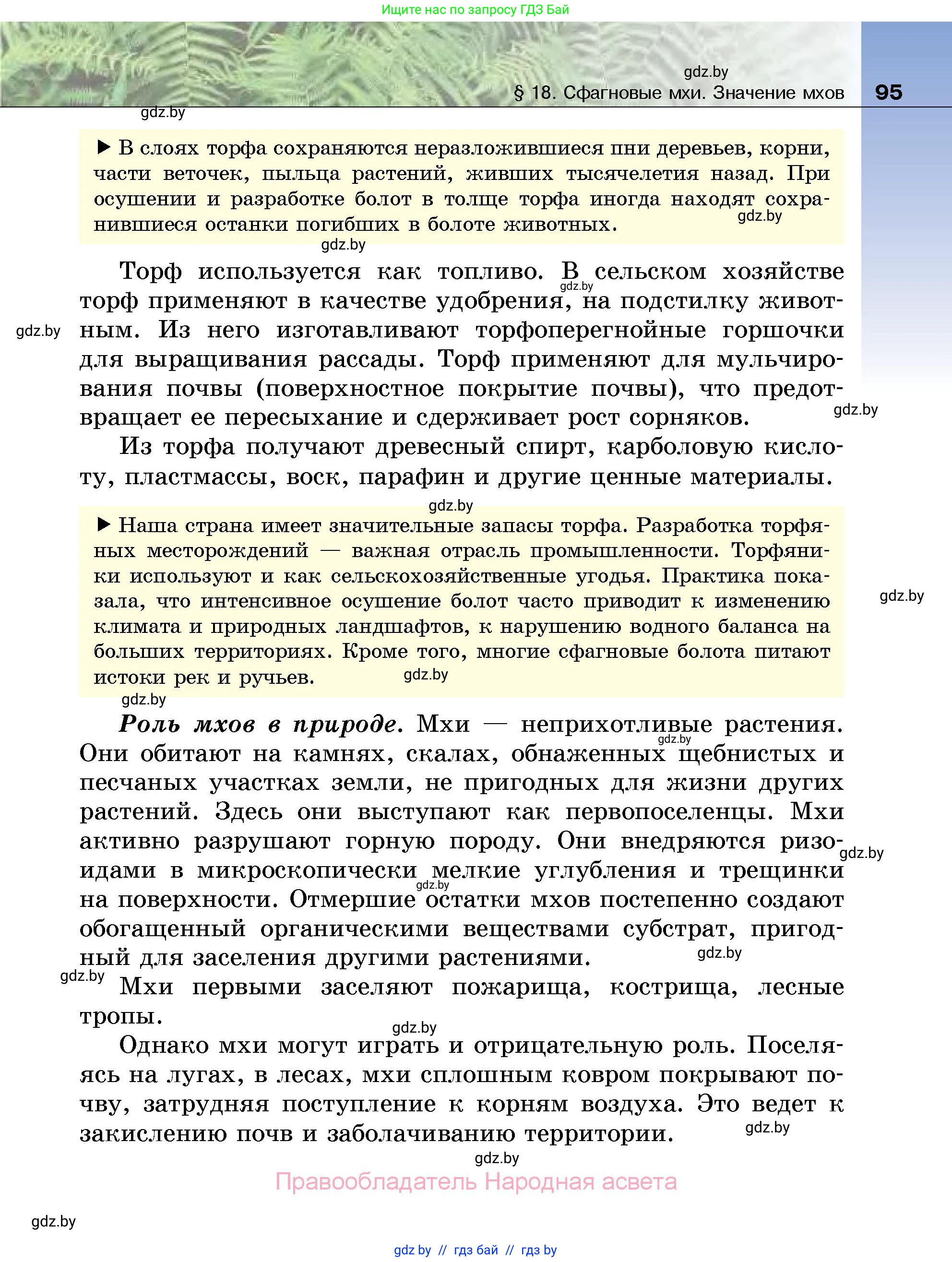Биология, 7 класс Учебник, автор: Лисов Николай Дмитриевич, издательство Народная асвета, Минск, 2022, зелёного цвета, страница 95