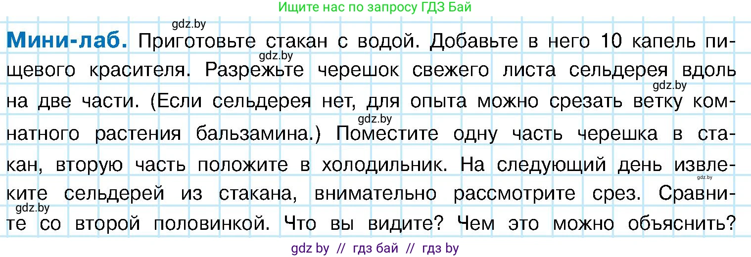 Биология, 7 класс Учебник, автор: Лисов Николай Дмитриевич, издательство Народная асвета, Минск, 2022, зелёного цвета, страница 142, Условие