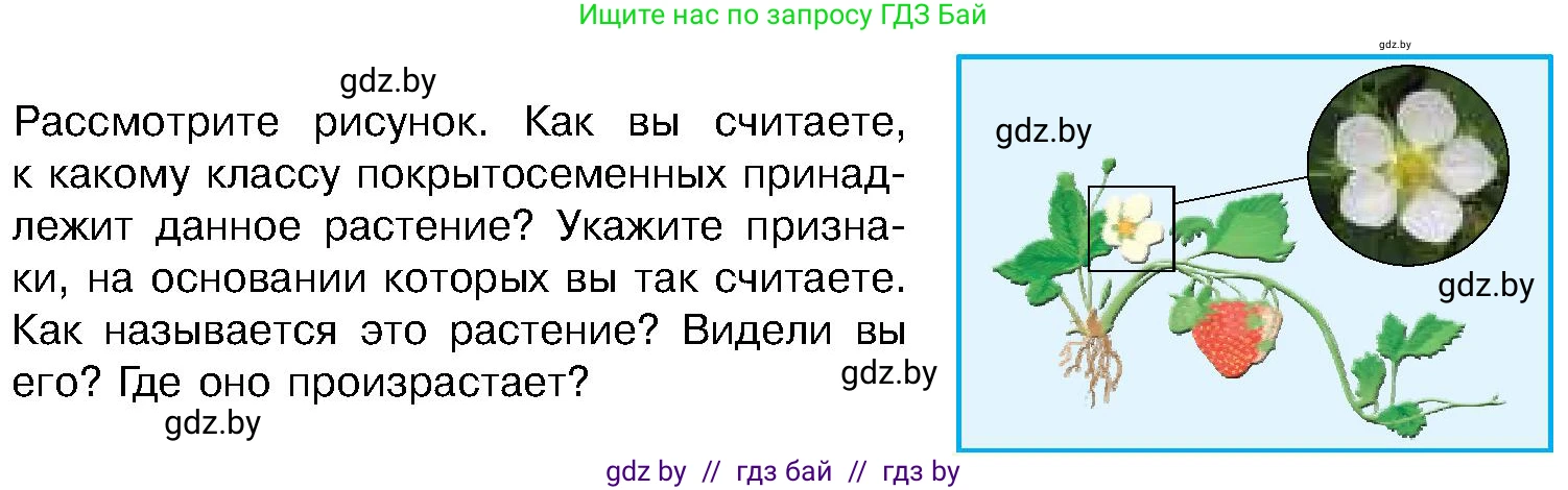 Биология, 7 класс Учебник, автор: Лисов Николай Дмитриевич, издательство Народная асвета, Минск, 2022, зелёного цвета, страница 209, Условие