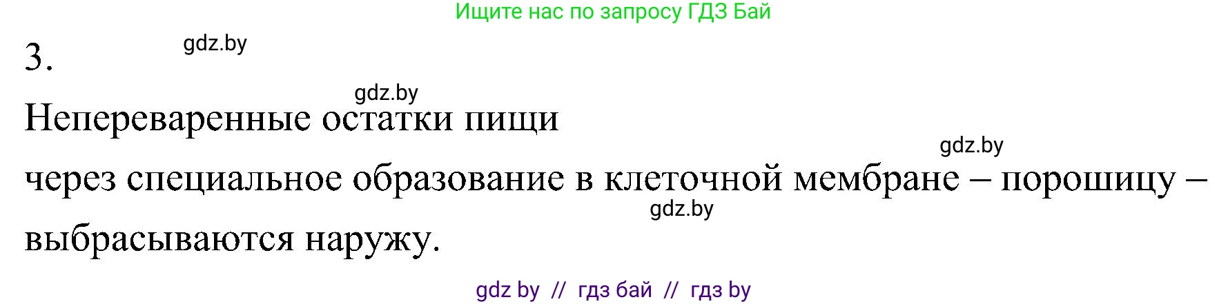 Биология, 7 класс Учебник, автор: Лисов Николай Дмитриевич, издательство Народная асвета, Минск, 2022, зелёного цвета, страница 37, номер 3, Решение