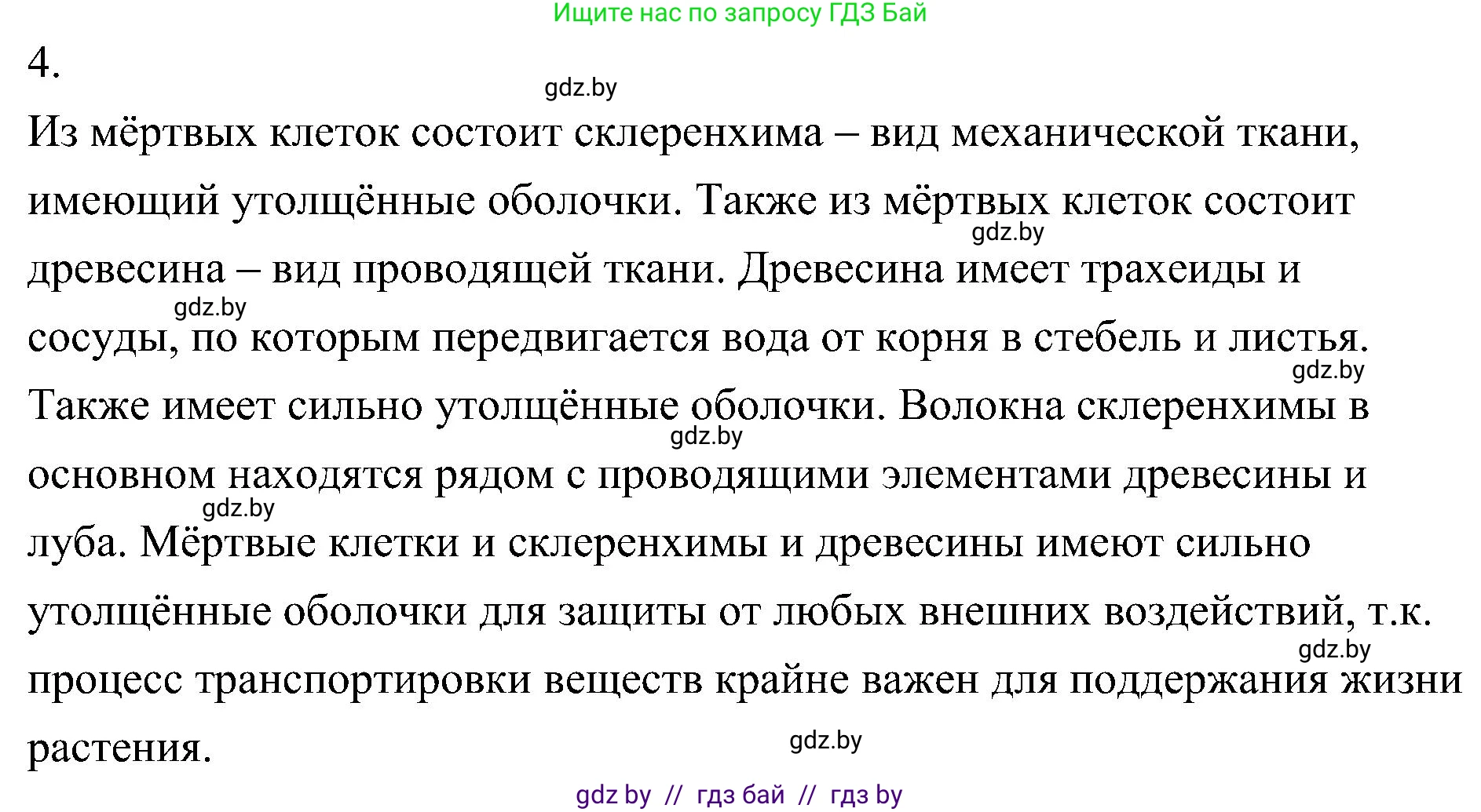 Биология, 7 класс Учебник, автор: Лисов Николай Дмитриевич, издательство Народная асвета, Минск, 2022, зелёного цвета, страница 81, номер 4, Решение