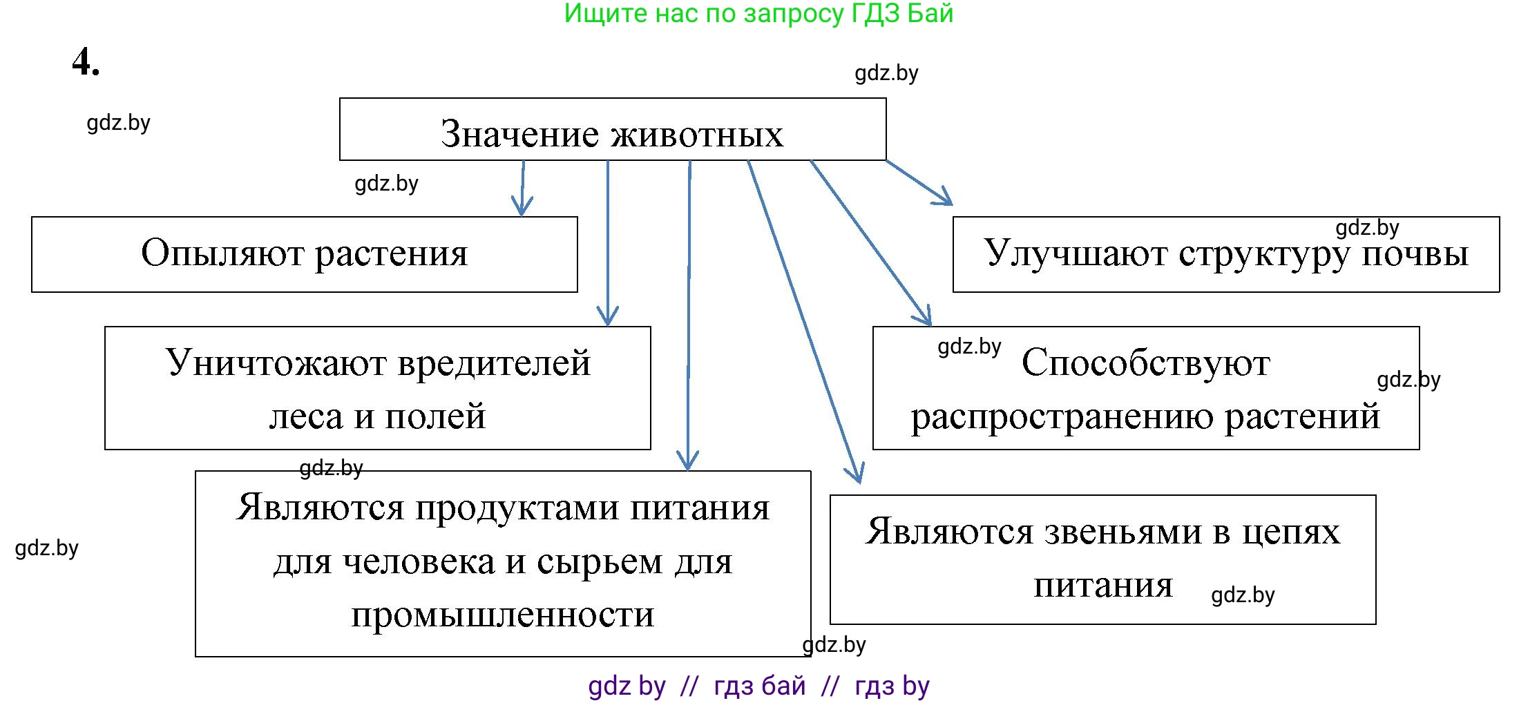 Биология, 8 класс рабочая тетрадь, автор: Лисов Николай Дмитриевич, издательство Аверсэв, Минск, 2018, зелёного цвета, страница 5, номер 4, Решение