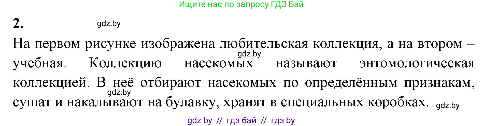Биология, 8 класс рабочая тетрадь, автор: Лисов Николай Дмитриевич, издательство Аверсэв, Минск, 2018, зелёного цвета, страница 57, номер 2, Решение