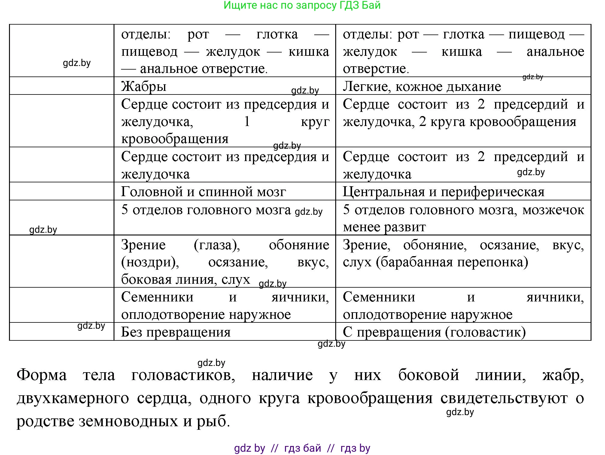 Биология, 8 класс рабочая тетрадь, автор: Лисов Николай Дмитриевич, издательство Аверсэв, Минск, 2018, зелёного цвета, страница 74, номер 6, Решение (продолжение 2)