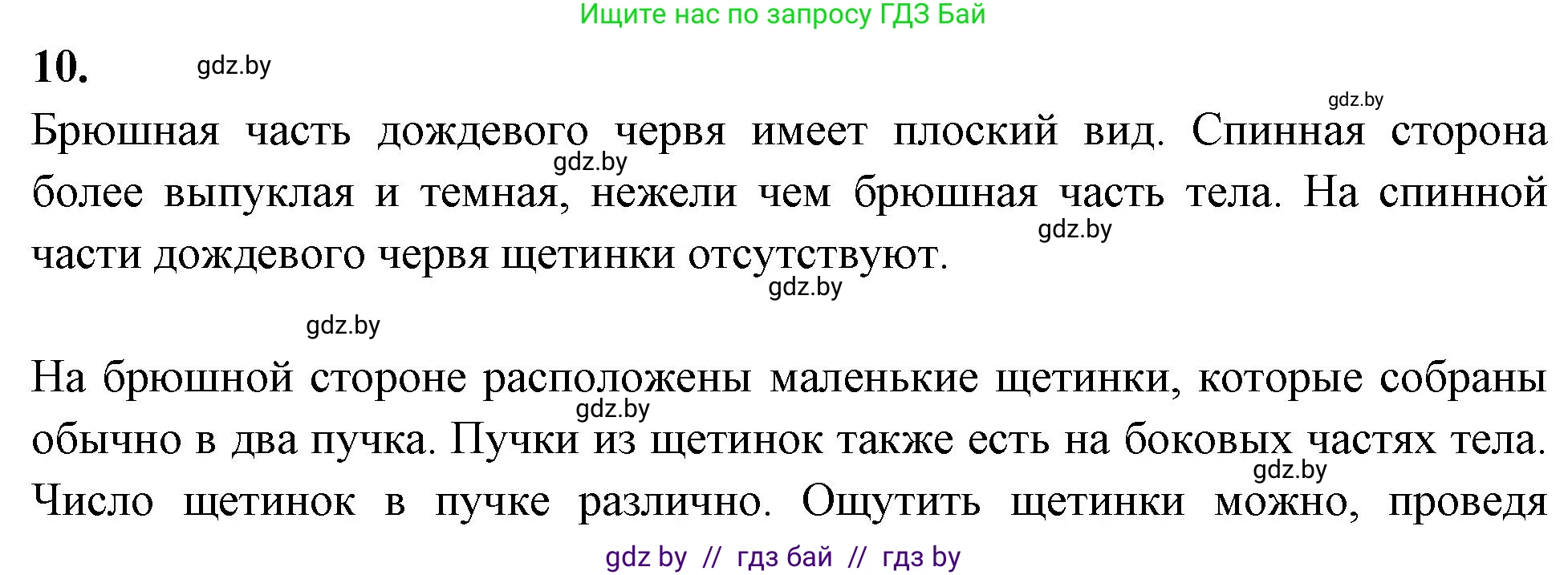 Биология, 8 класс рабочая тетрадь, автор: Лисов Николай Дмитриевич, издательство Аверсэв, Минск, 2018, зелёного цвета, страница 17, номер 10, Решение