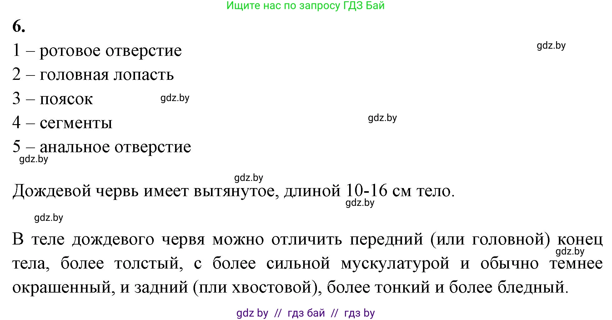 Биология, 8 класс рабочая тетрадь, автор: Лисов Николай Дмитриевич, издательство Аверсэв, Минск, 2018, зелёного цвета, страница 16, номер 6, Решение