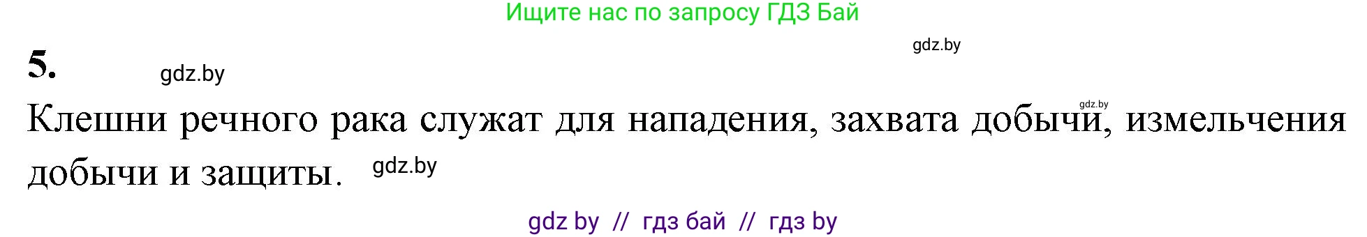 Биология, 8 класс рабочая тетрадь, автор: Лисов Николай Дмитриевич, издательство Аверсэв, Минск, 2018, зелёного цвета, страница 35, номер 5, Решение