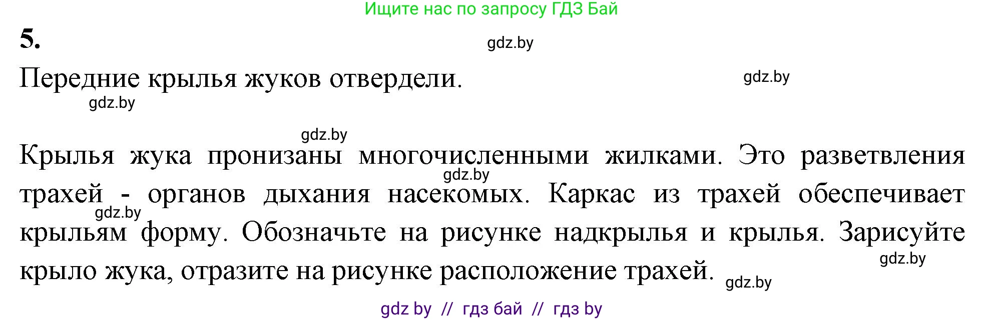 Биология, 8 класс рабочая тетрадь, автор: Лисов Николай Дмитриевич, издательство Аверсэв, Минск, 2018, зелёного цвета, страница 44, номер 5, Решение