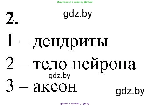 Биология, 9 класс рабочая тетрадь, авторы: Борисов Олег Леонидович, Антипенко Алеся Анатольевна, Мащенко Михаил Васильевич, издательство Аверсэв, Минск, 2019, салатового цвета, страница 15, номер 2, Решение