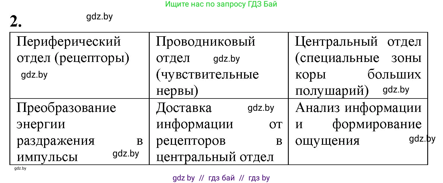 Биология, 9 класс рабочая тетрадь, авторы: Борисов Олег Леонидович, Антипенко Алеся Анатольевна, Мащенко Михаил Васильевич, издательство Аверсэв, Минск, 2019, салатового цвета, страница 24, номер 2, Решение