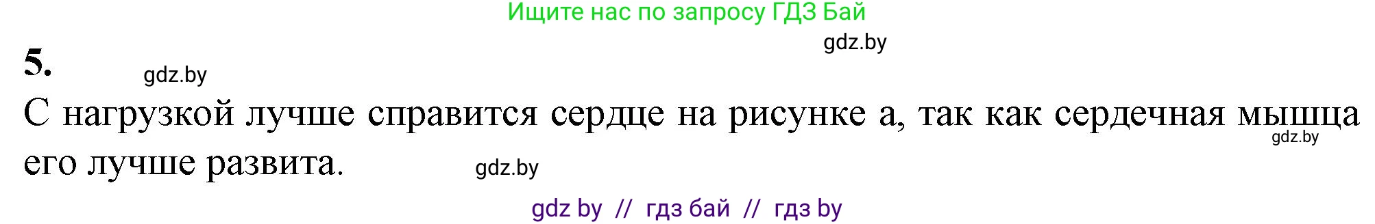 Биология, 9 класс рабочая тетрадь, авторы: Борисов Олег Леонидович, Антипенко Алеся Анатольевна, Мащенко Михаил Васильевич, издательство Аверсэв, Минск, 2019, салатового цвета, страница 60, номер 5, Решение