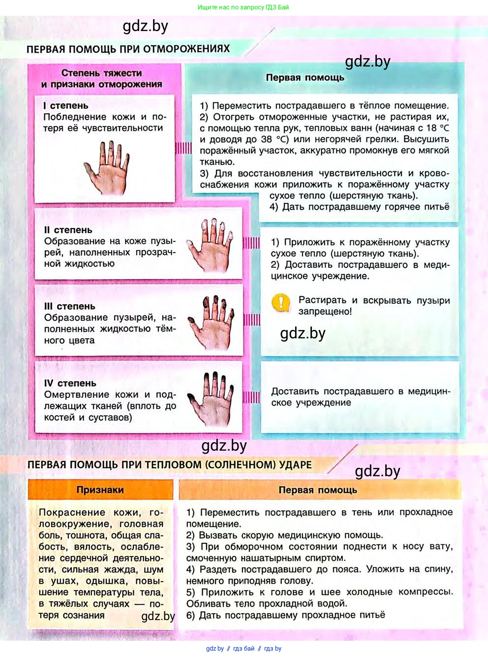 Биология, 9 класс Учебник, авторы: Борисов Олег Леонидович, Антипенко Алеся Анатольевна, Рогожников Олег Николаевич, издательство Адукацыя i выхаванне, Минск, 2025, бирюзового цвета, 