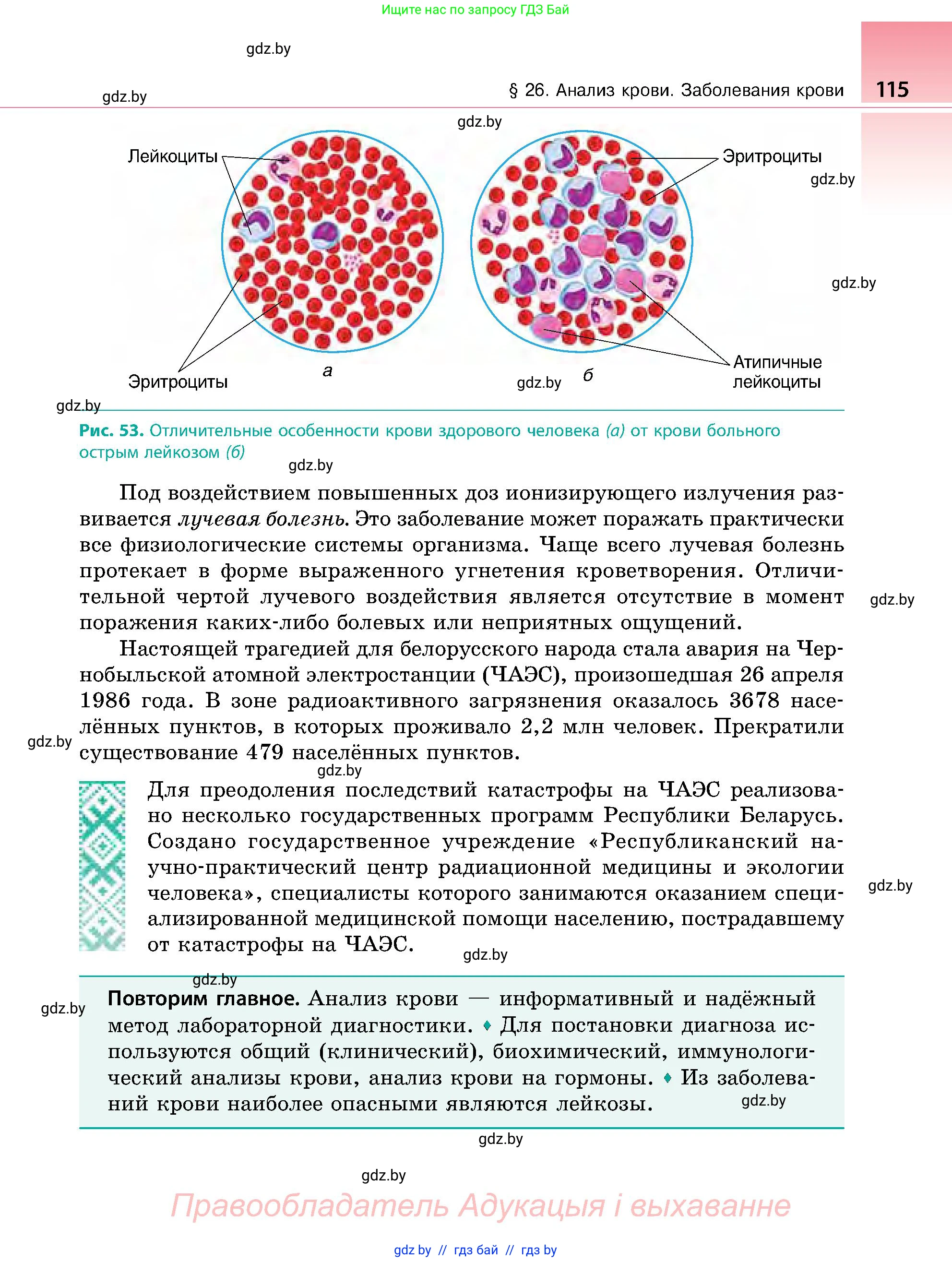 Биология, 9 класс Учебник, авторы: Борисов Олег Леонидович, Антипенко Алеся Анатольевна, Рогожников Олег Николаевич, издательство Адукацыя i выхаванне, Минск, 2025, бирюзового цвета, страница 115