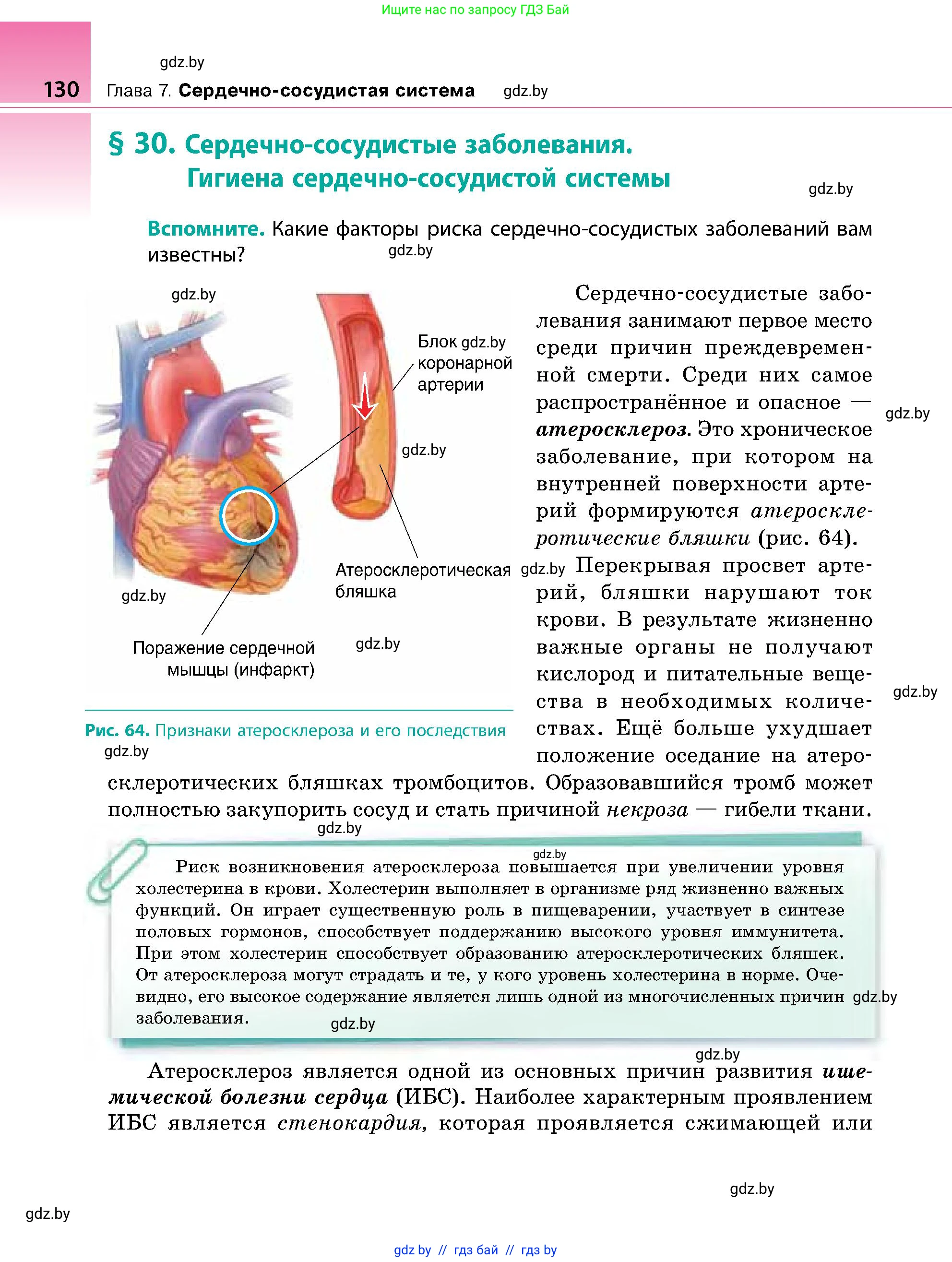 Биология, 9 класс Учебник, авторы: Борисов Олег Леонидович, Антипенко Алеся Анатольевна, Рогожников Олег Николаевич, издательство Адукацыя i выхаванне, Минск, 2025, бирюзового цвета, страница 130