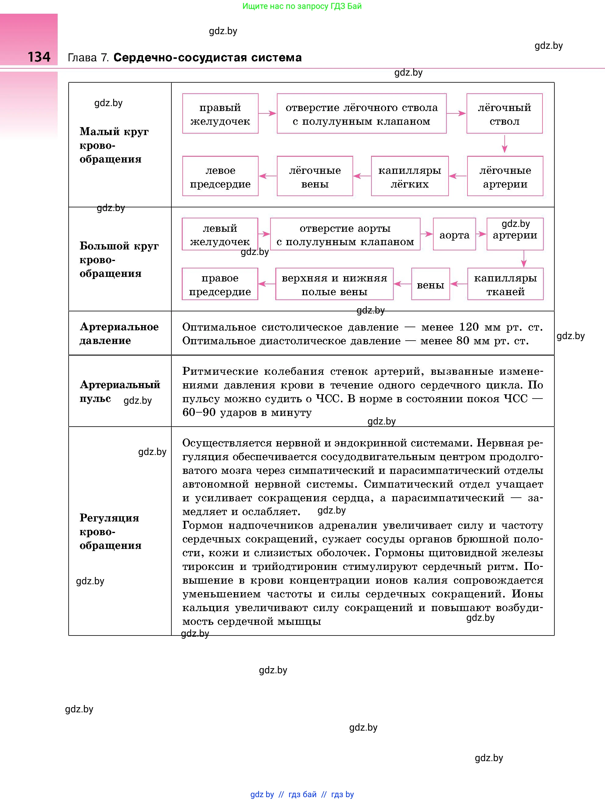 Биология, 9 класс Учебник, авторы: Борисов Олег Леонидович, Антипенко Алеся Анатольевна, Рогожников Олег Николаевич, издательство Адукацыя i выхаванне, Минск, 2025, бирюзового цвета, страница 134