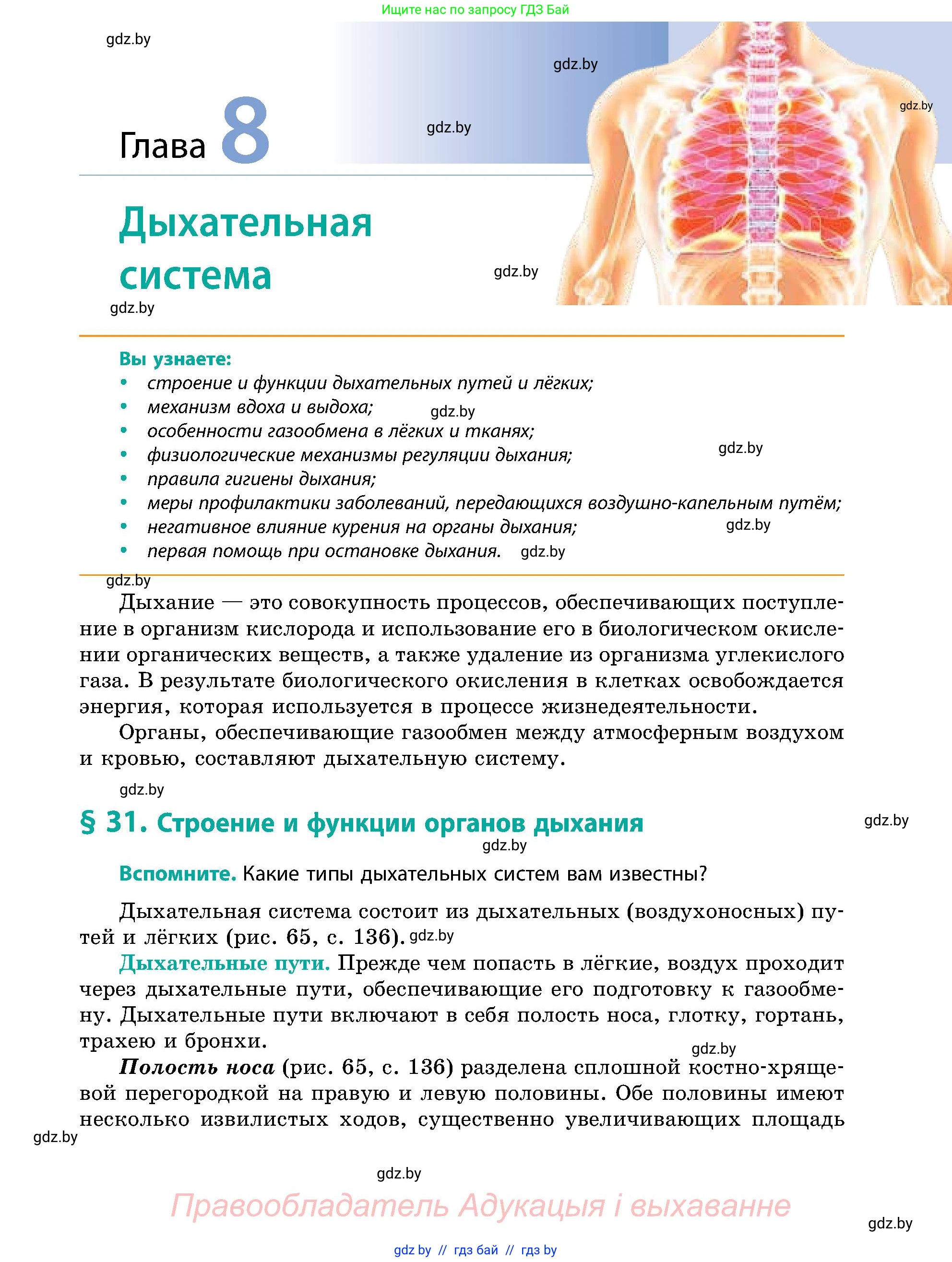 Биология, 9 класс Учебник, авторы: Борисов Олег Леонидович, Антипенко Алеся Анатольевна, Рогожников Олег Николаевич, издательство Адукацыя i выхаванне, Минск, 2025, бирюзового цвета, страница 135