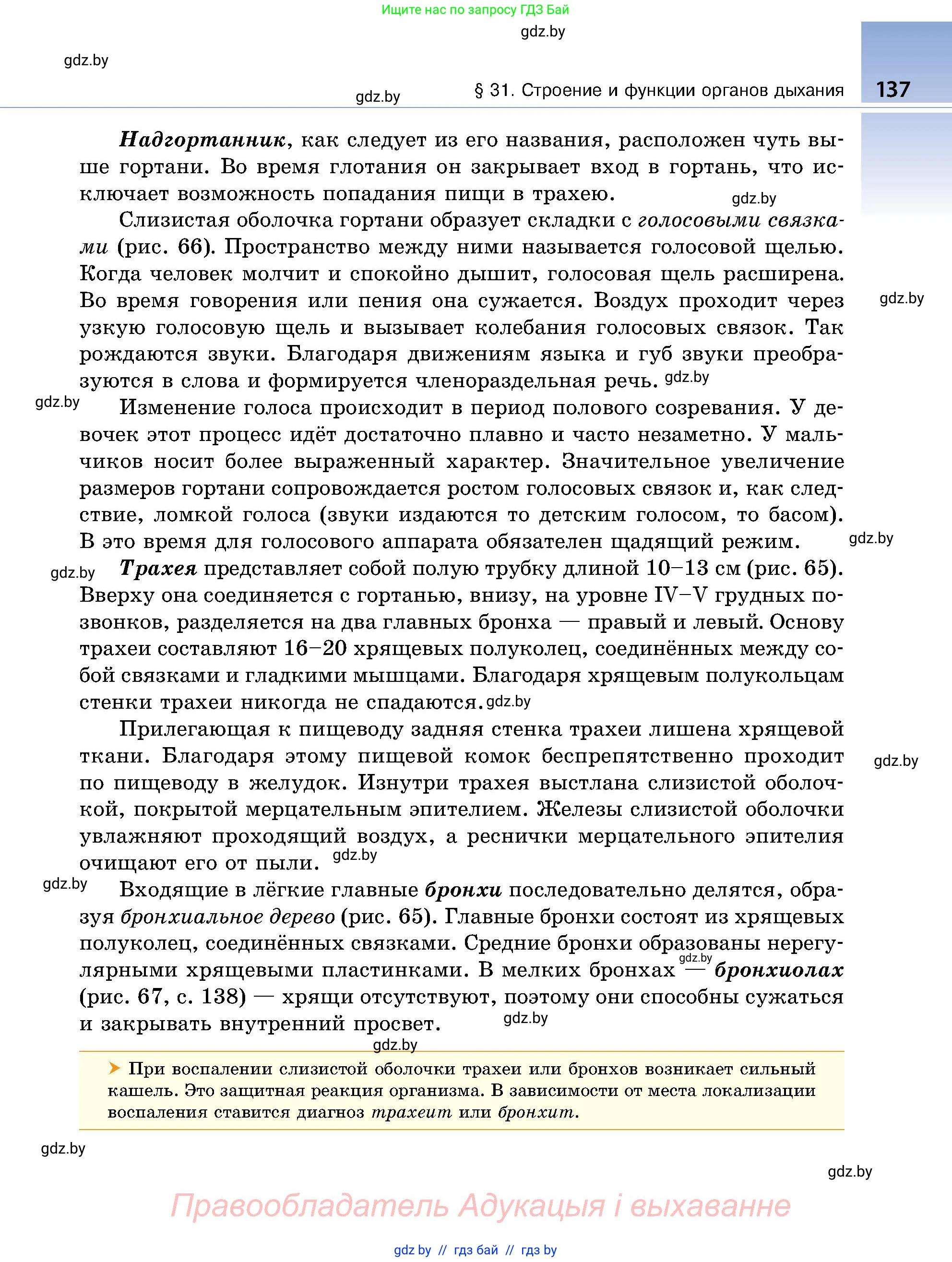 Биология, 9 класс Учебник, авторы: Борисов Олег Леонидович, Антипенко Алеся Анатольевна, Рогожников Олег Николаевич, издательство Адукацыя i выхаванне, Минск, 2025, бирюзового цвета, страница 137