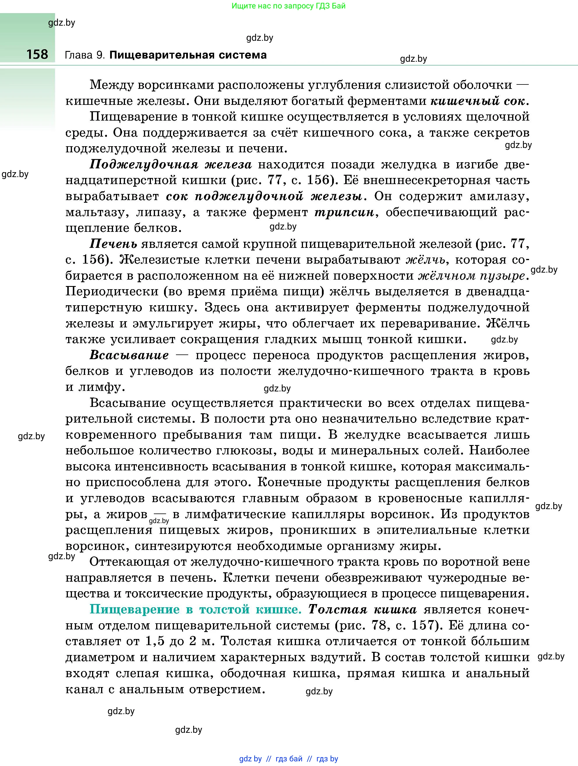 Биология, 9 класс Учебник, авторы: Борисов Олег Леонидович, Антипенко Алеся Анатольевна, Рогожников Олег Николаевич, издательство Адукацыя i выхаванне, Минск, 2025, бирюзового цвета, страница 158