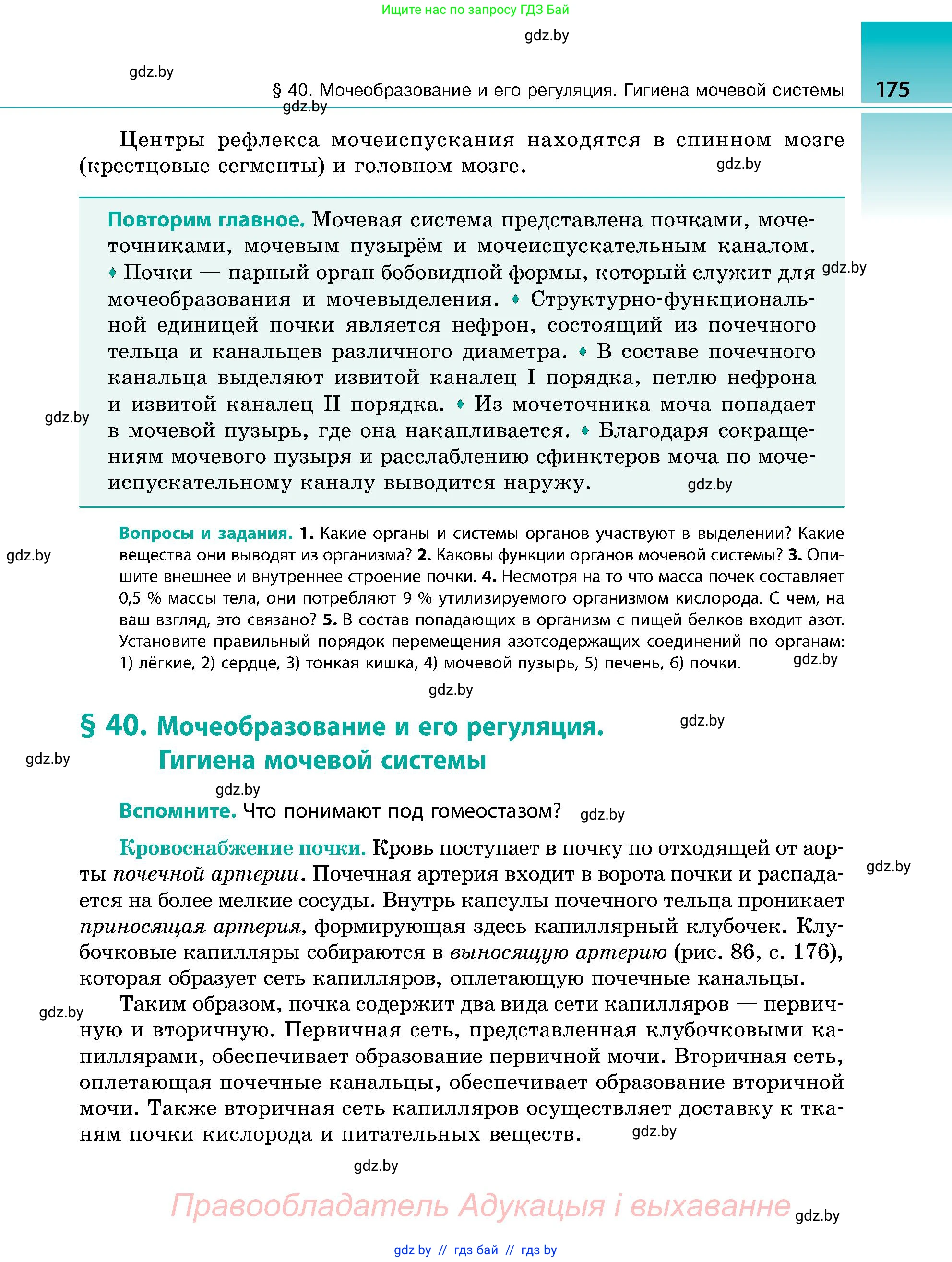 Биология, 9 класс Учебник, авторы: Борисов Олег Леонидович, Антипенко Алеся Анатольевна, Рогожников Олег Николаевич, издательство Адукацыя i выхаванне, Минск, 2025, бирюзового цвета, страница 175