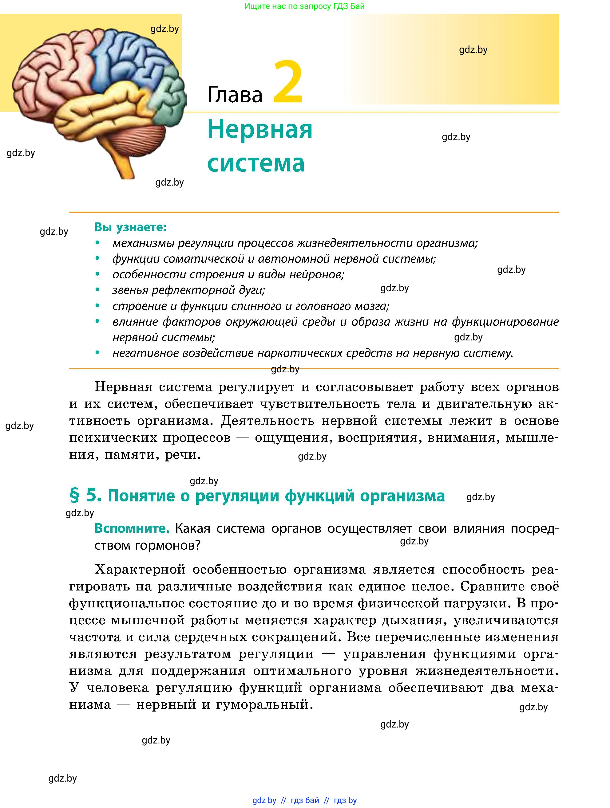 Биология, 9 класс Учебник, авторы: Борисов Олег Леонидович, Антипенко Алеся Анатольевна, Рогожников Олег Николаевич, издательство Адукацыя i выхаванне, Минск, 2025, бирюзового цвета, страница 24